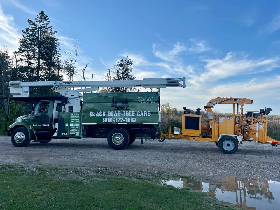 A service truck with equipment from Black Bear Tree Care parked outdoors on a gravel road near grass and a small puddle, with trees and a blue sky in the background.