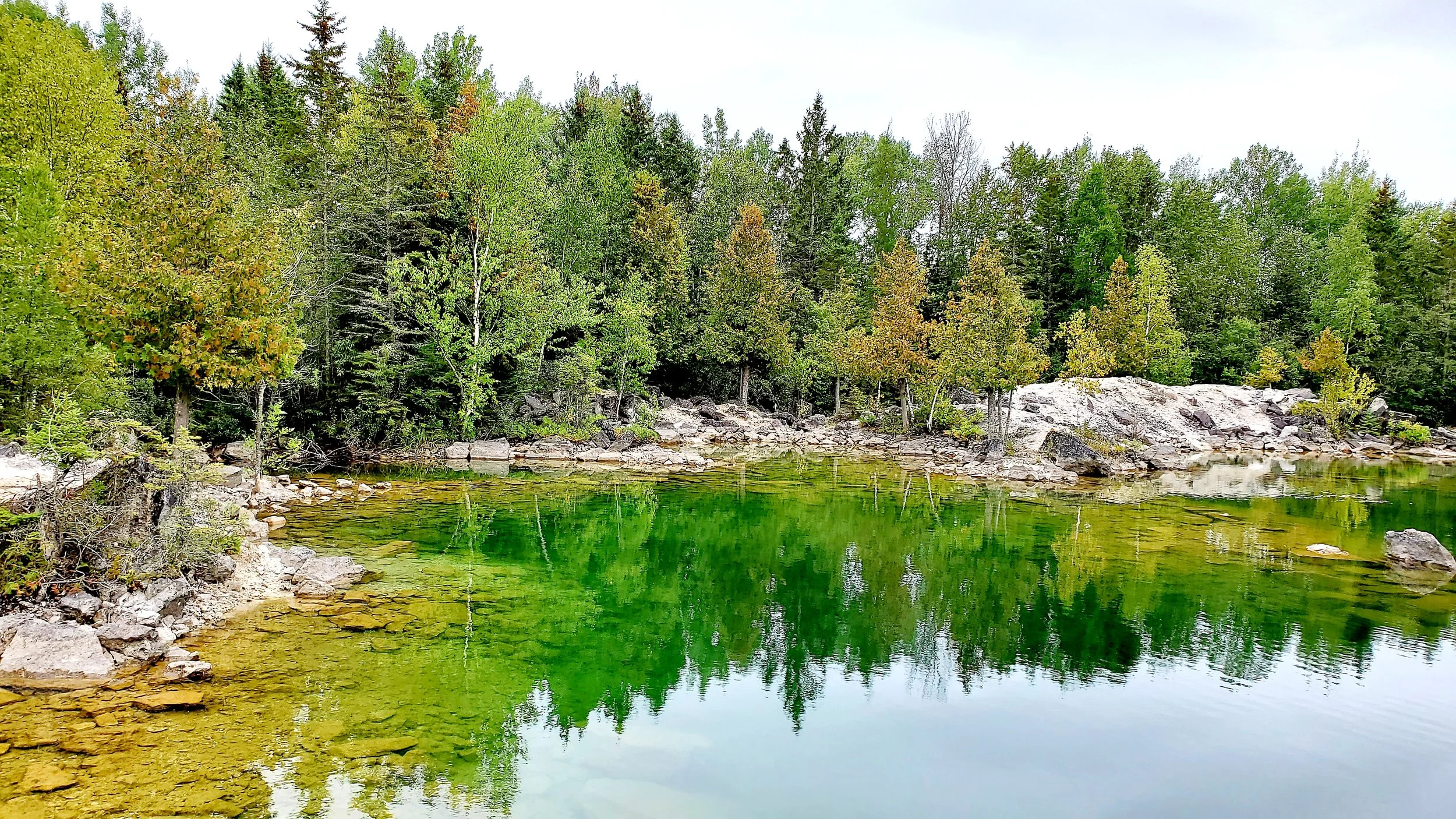 A forested lakeshore with trees and rocks, with green water reflecting the trees and rocks. The sky appears overcast.