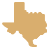Texas State Icon