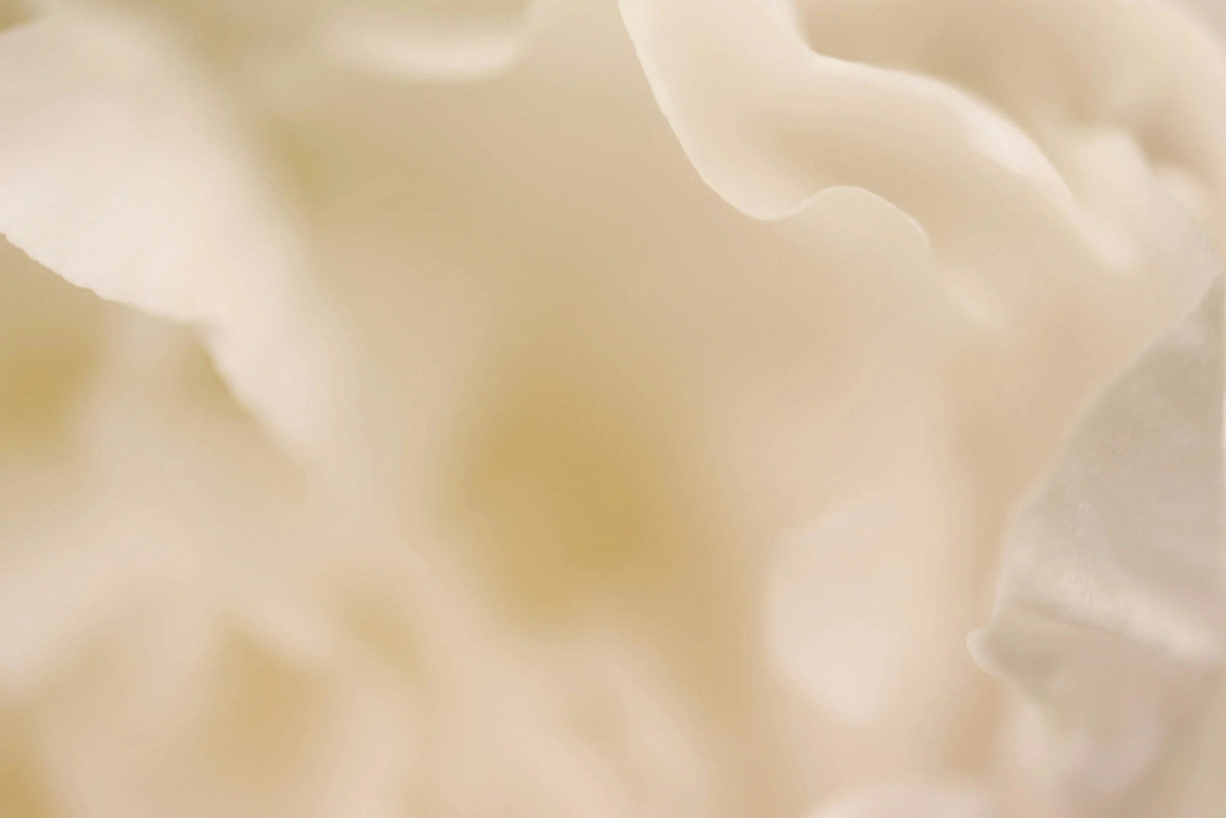 Close-up of a white, curly substance, possibly whipped cream or meringue.