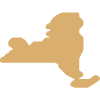 New York State Icon