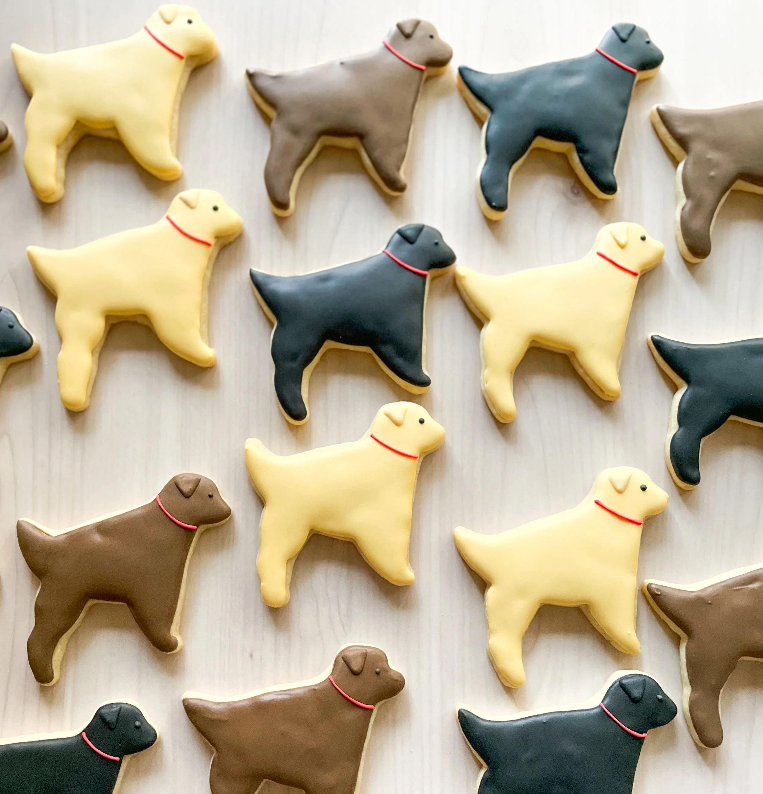 Decorative dog-shaped cookies with yellow, brown, black, and gray icing with red collars, arranged on a light-colored surface.