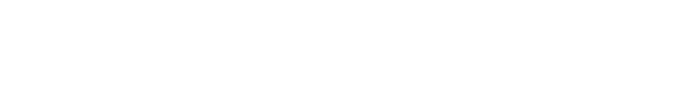 THE MURDERS OF SEMINOLE HEIGHTS