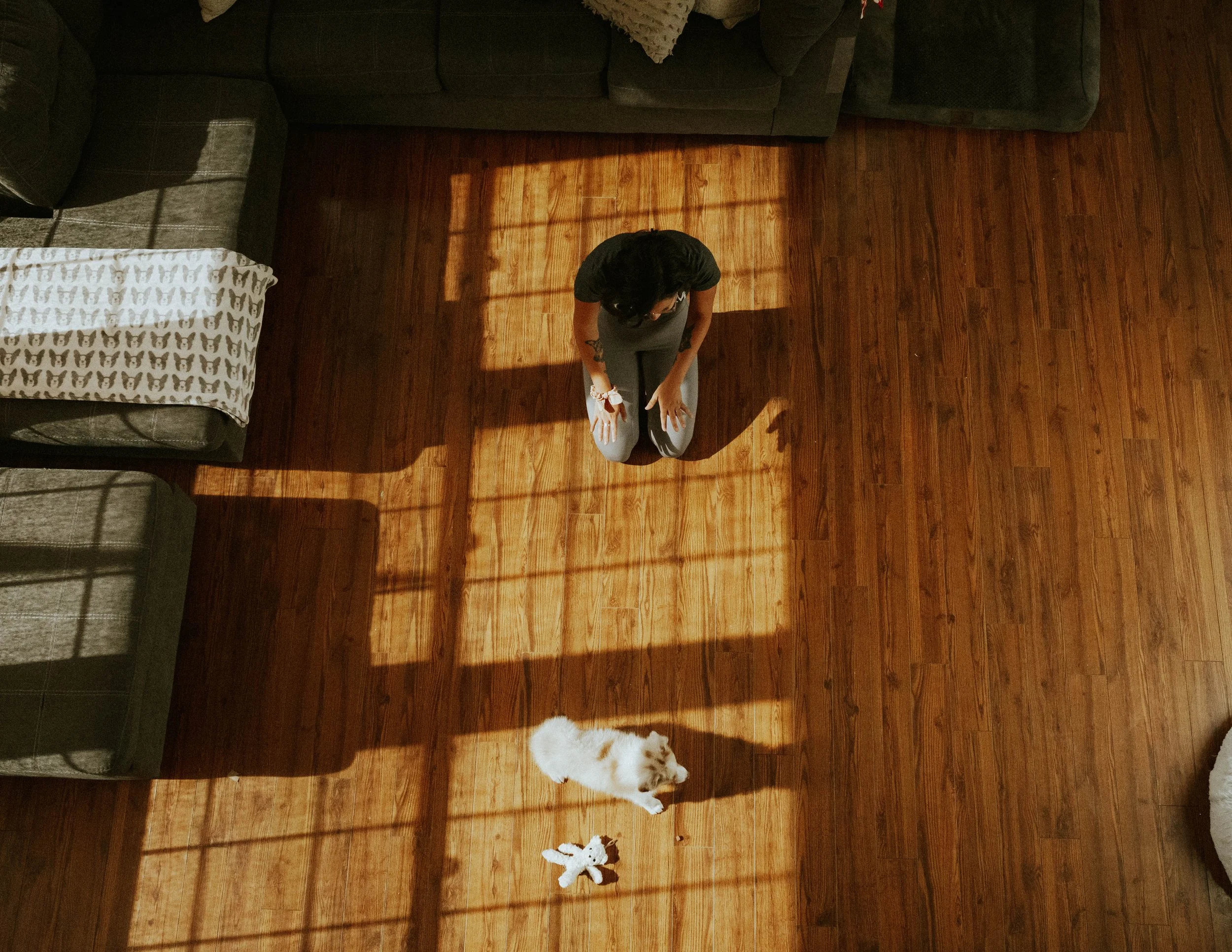 Top-down view of a woman sitting on a wooden floor with a small white dog nearby, casting rectangular shadows from a window.