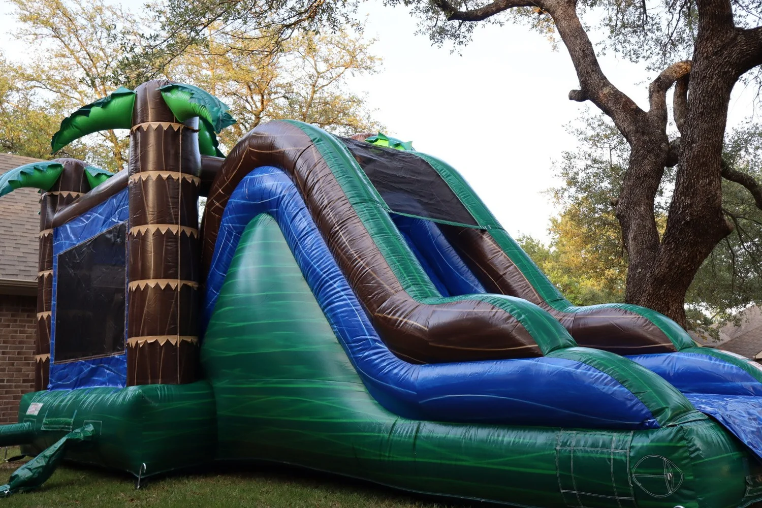 Palm Paradise Package featuring the Palm Paradise Combo from Hill Country Celebration Rentals