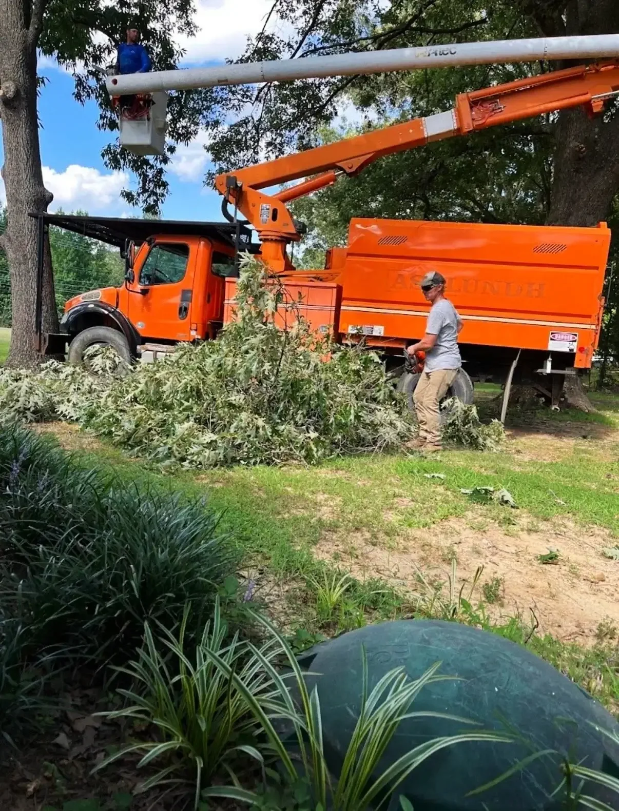 A utility worker in gray shirt and tan pants using a chainsaw near fallen branches. An orange bucket truck with a worker in the bucket trimming a tree in a park with green grass and trees.