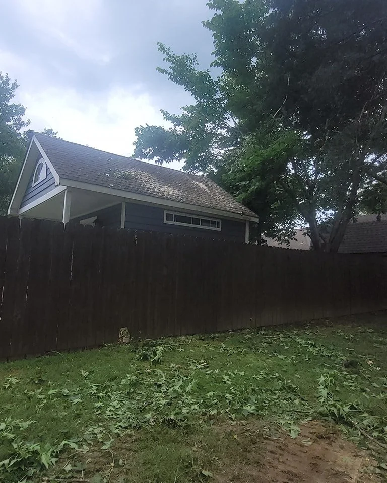 Large tree branch removal project completed in Olive Branch MS residential yard.