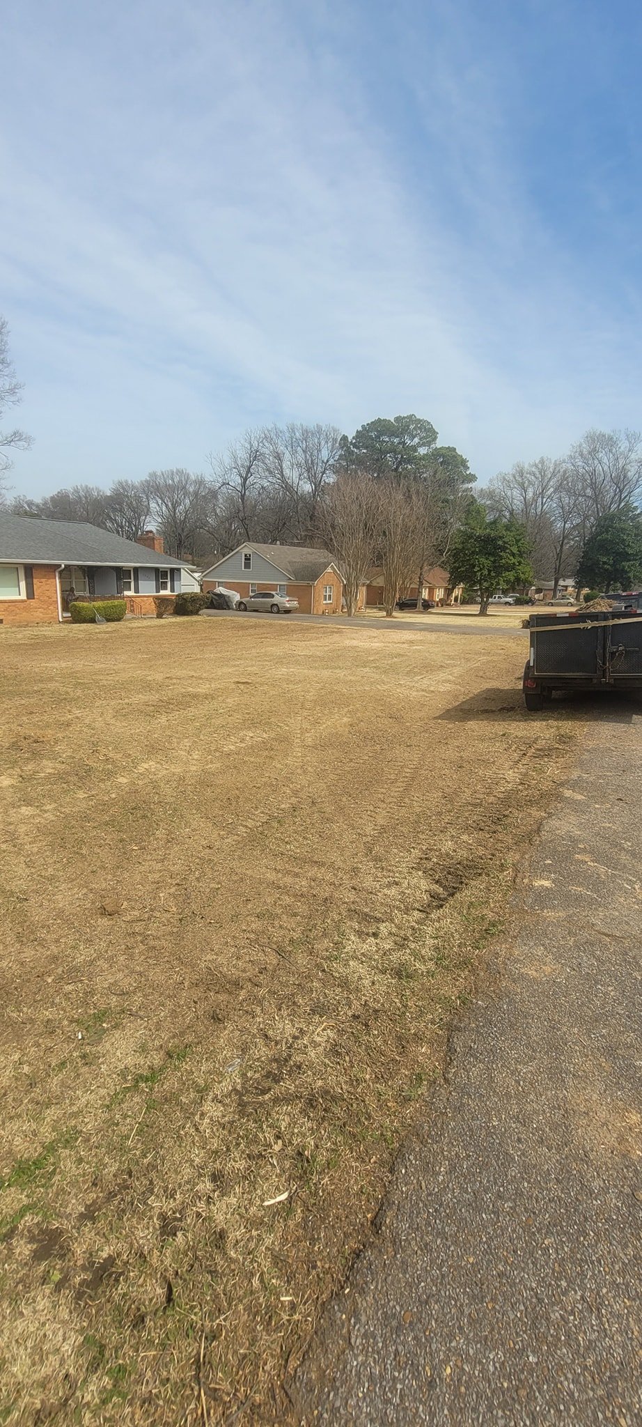 After photo of a tree removal project in Olive Branch MS.