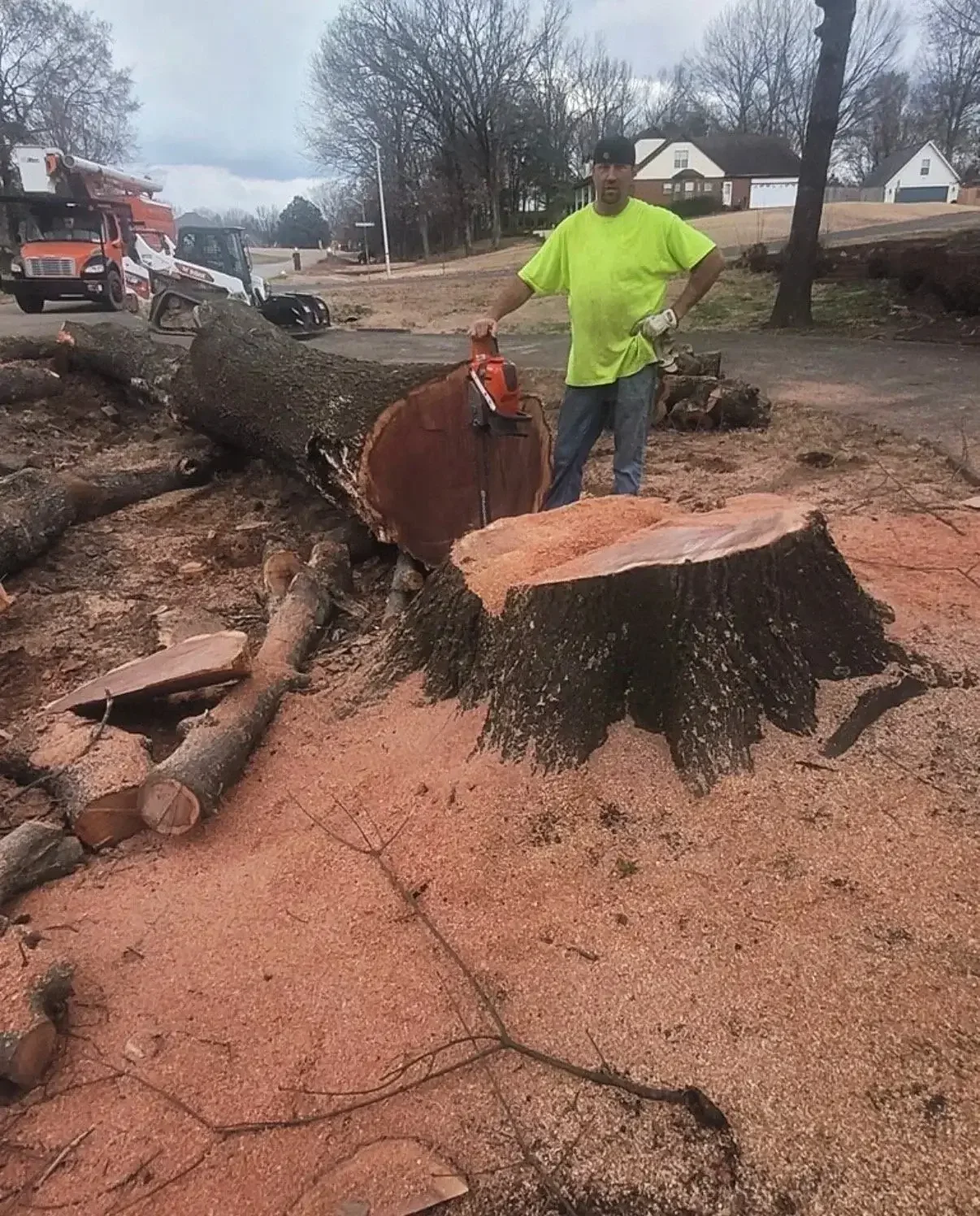 A man wearing a bright yellow shirt and gloves stands next to a large fallen tree and its cut trunk in a residential area. Chainsaw is resting on the tree trunk. Several chopped logs and sawdust are on the ground.