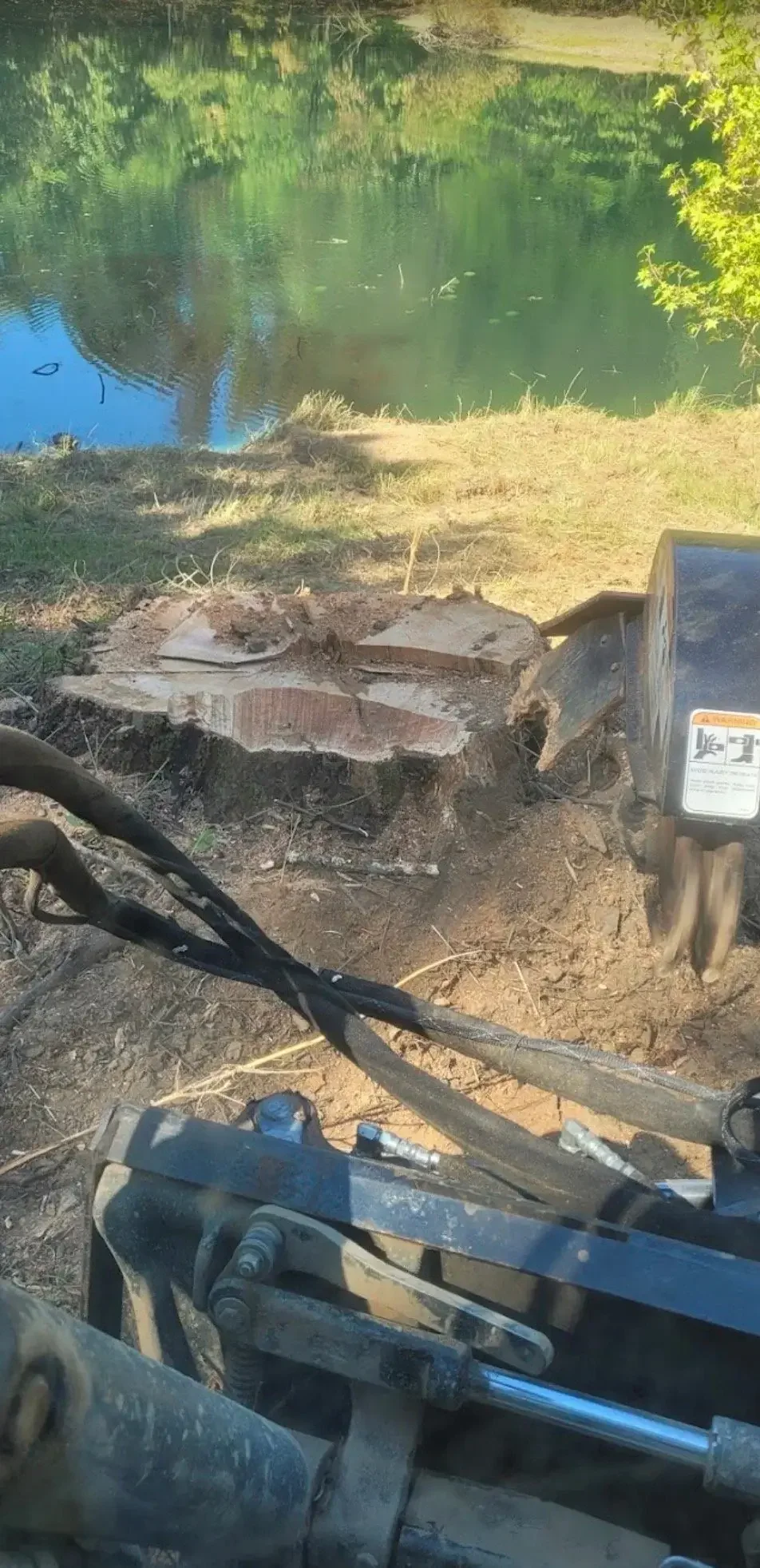 Tree stump cut by a chainsaw near a pond with green water and trees reflected on its surface. Machinery and equipment are visible in the foreground.