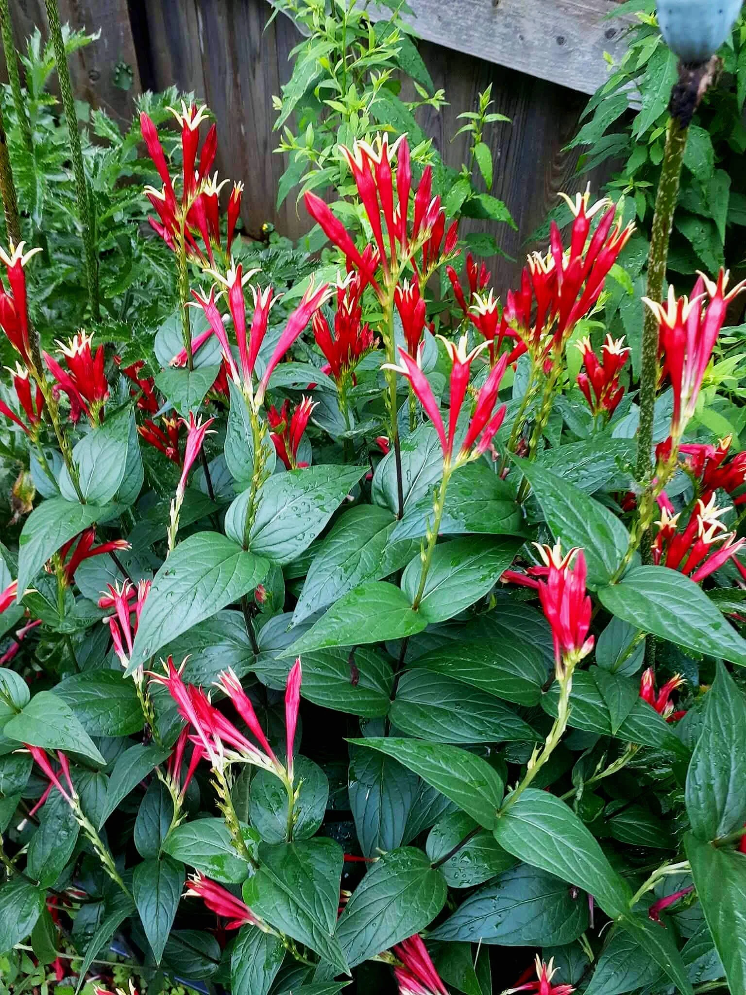 Monthly Meeting – October 2026