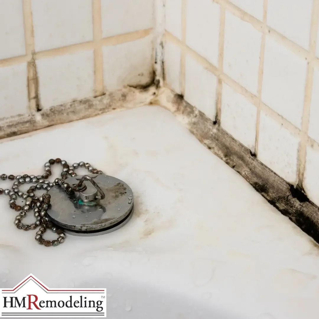 A close-up of an older bathtub corner showing stained grout, black mold along the tile joints, and a corroded rubber stopper in a South Bend, Indiana home.