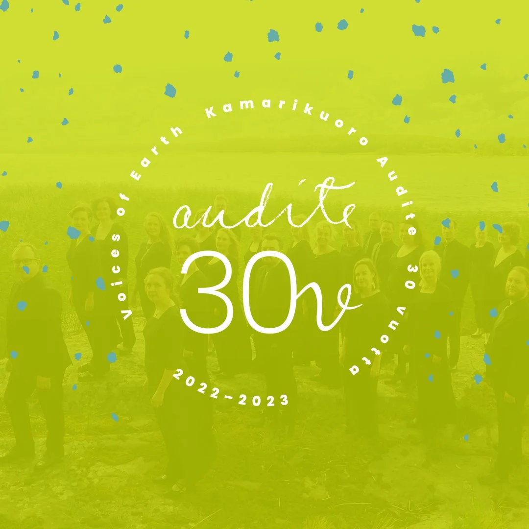 Kamarikuoro Audite 30 vuotta