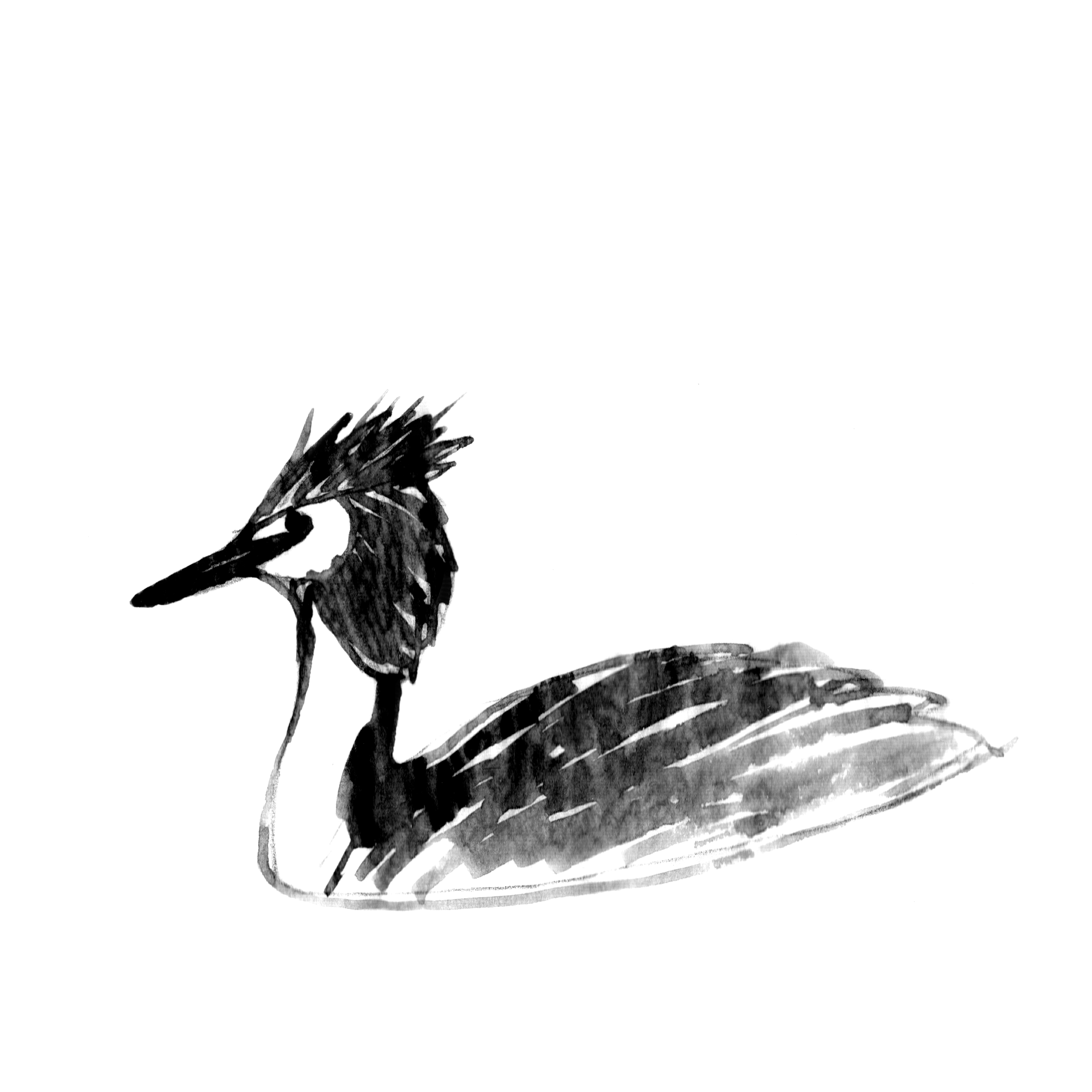 A black ink illustration of a bird, possibly a crow or raven, sitting on a tree branch against a white background.