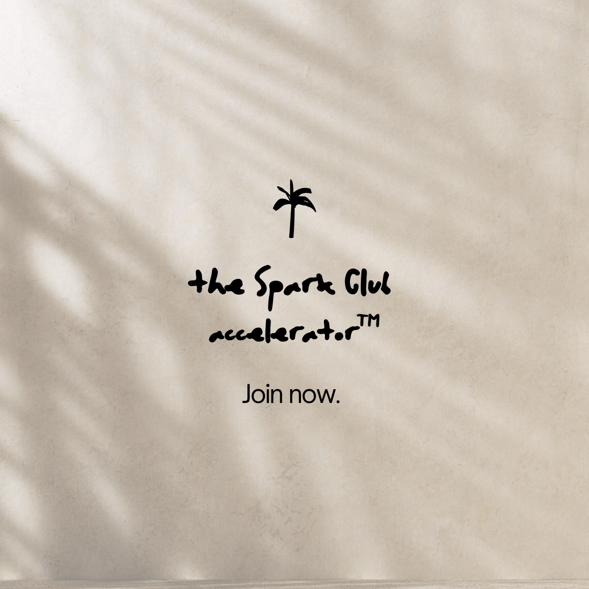 Spark Club Accelerator™