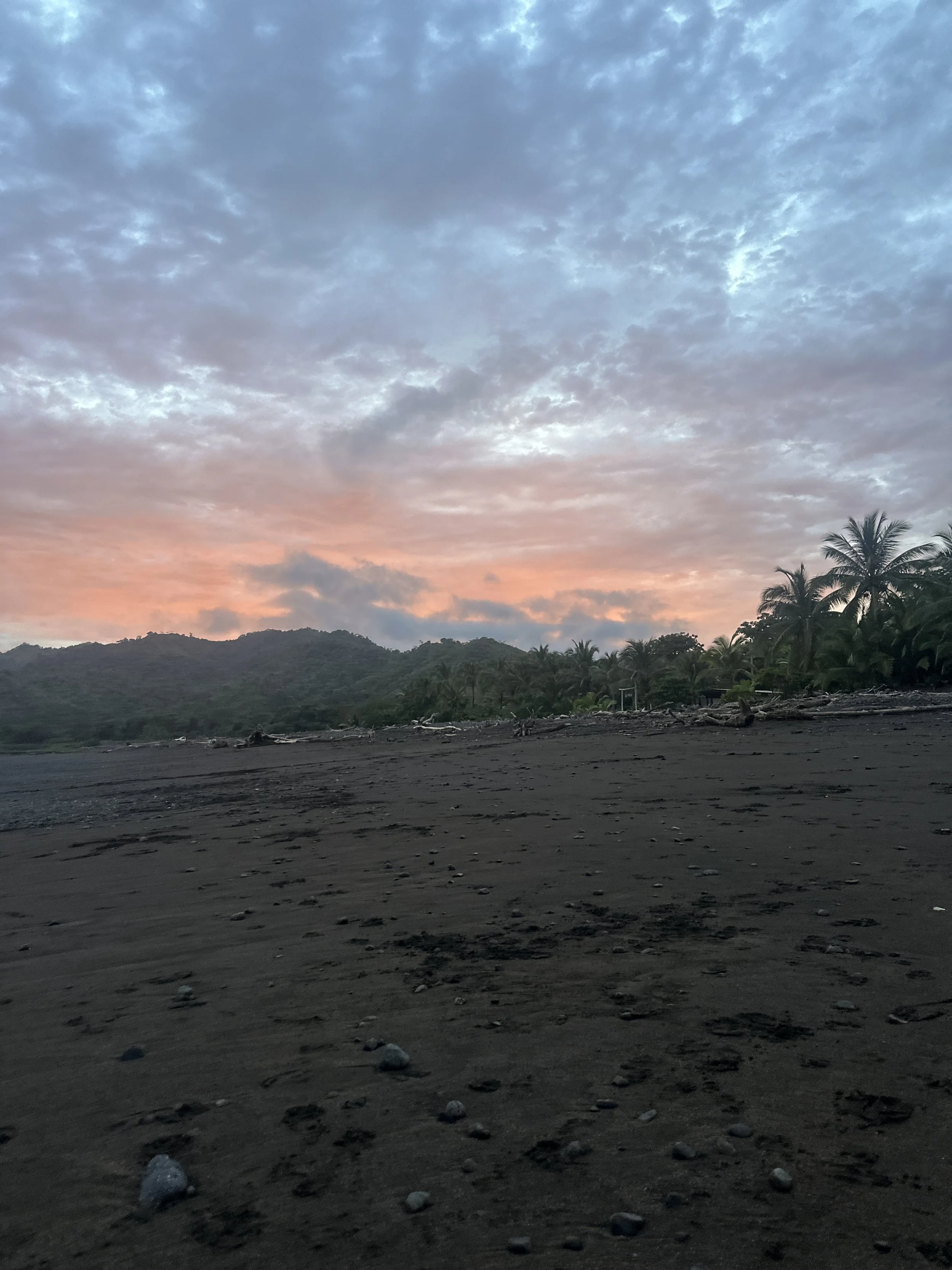 Beach with dark sand, palm trees along the shoreline, mountains in the background, and a colorful sky at sunset or sunrise with partly cloudy conditions.
