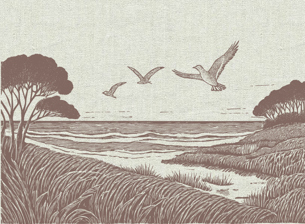 Small Steps Create Big Shifts 