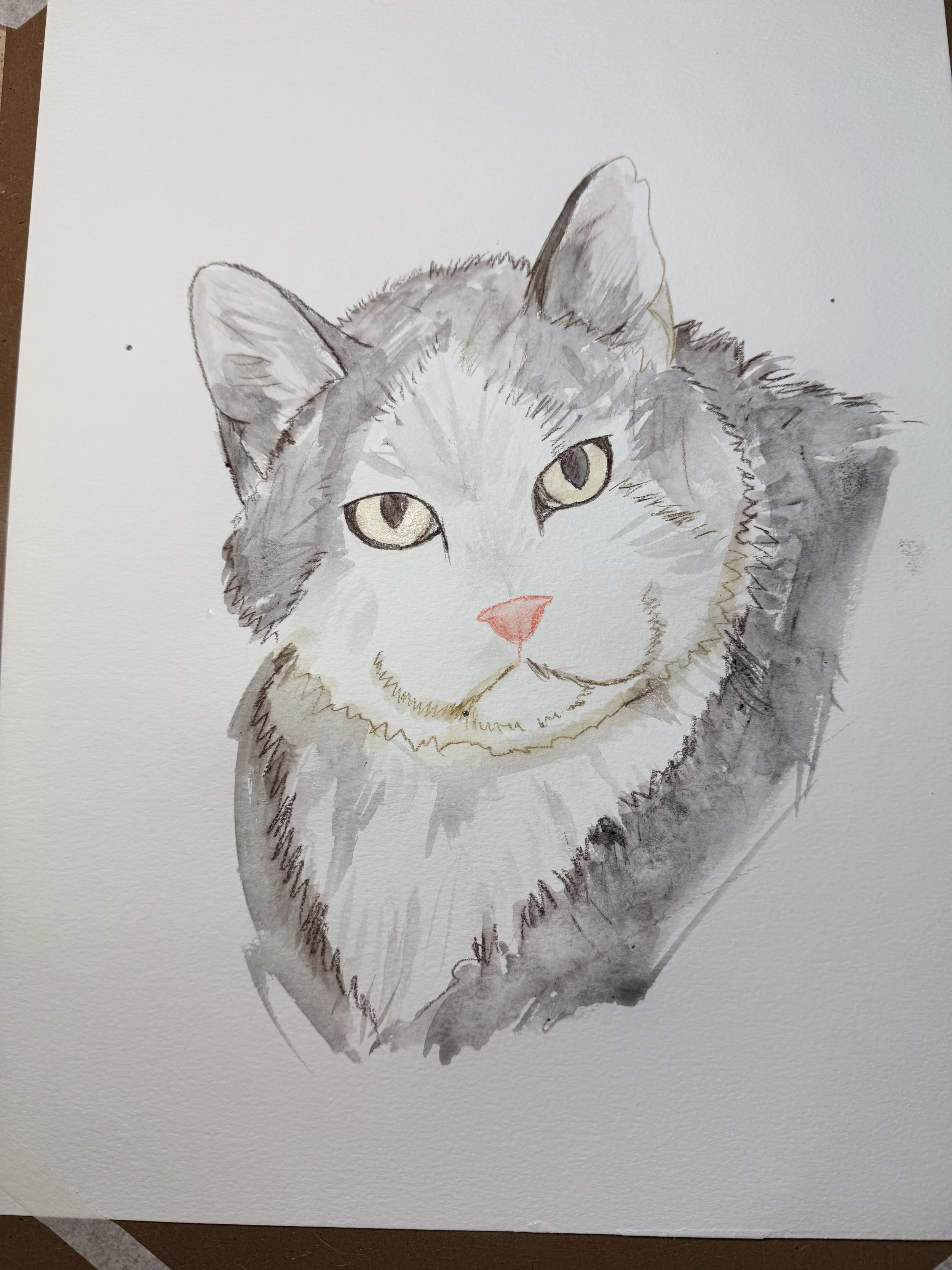 The portrait then progresses into a watercolor sketch