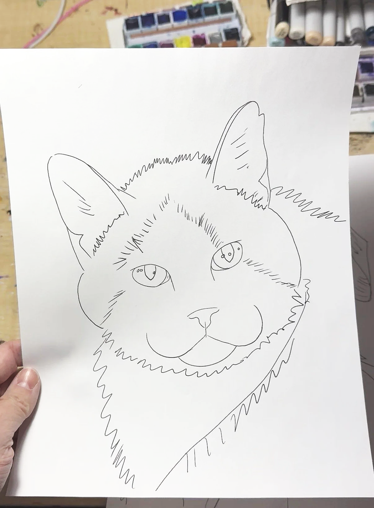 the artist creates a digital line drawing and composition