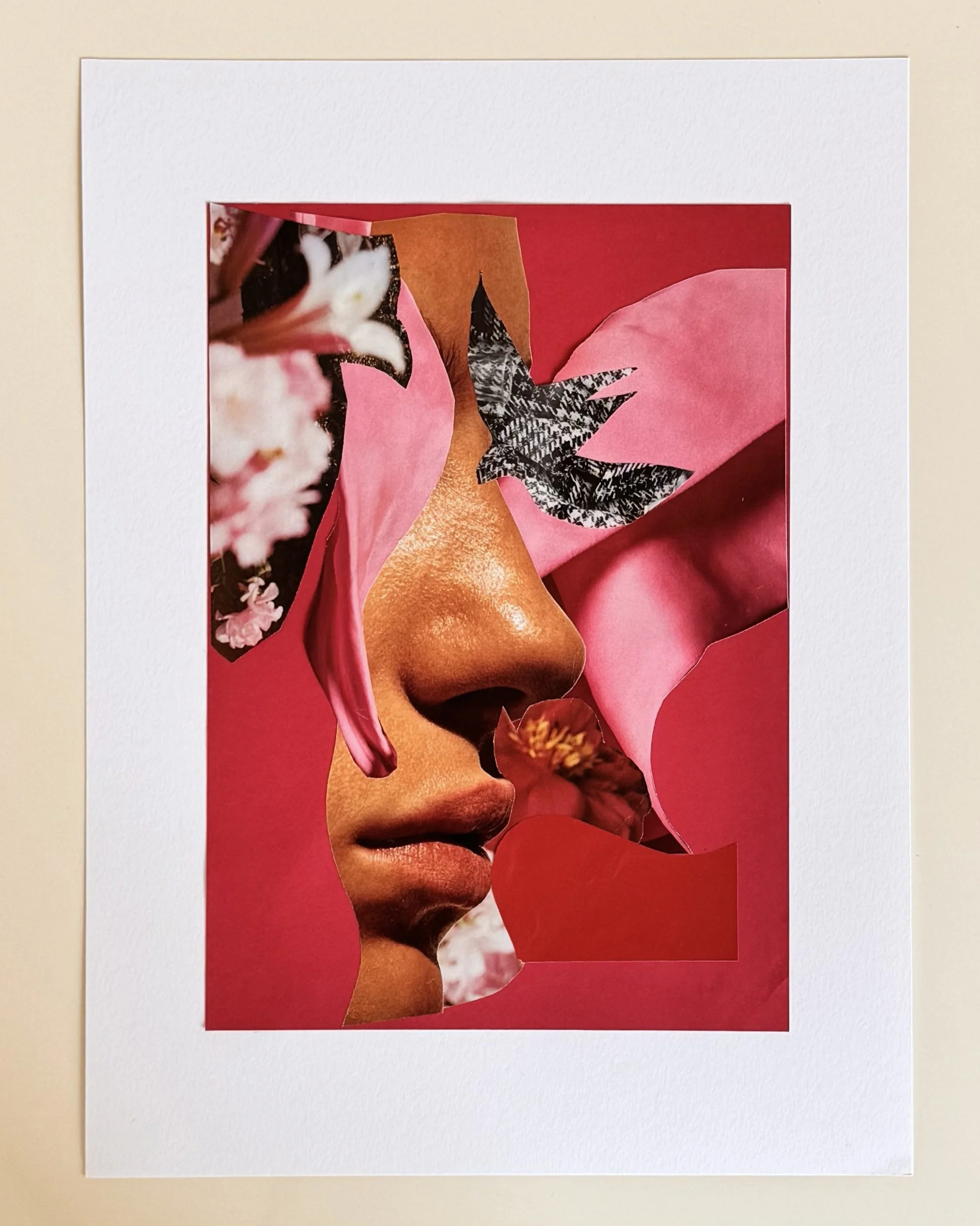 COLLAGE HIRONDELLE FOND PAPIER.jpg