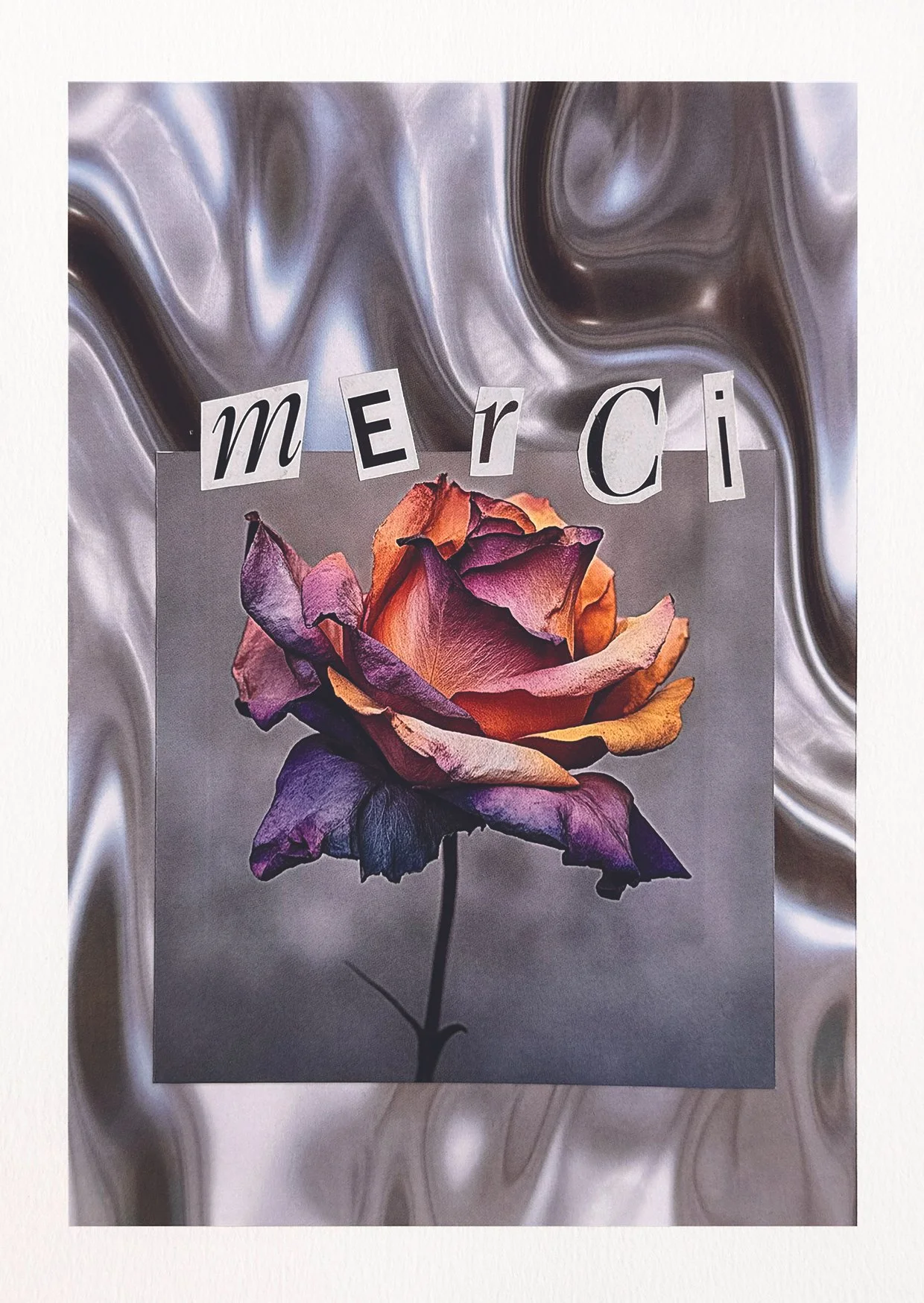 Sixties silver rose A6 CMJN.jpg