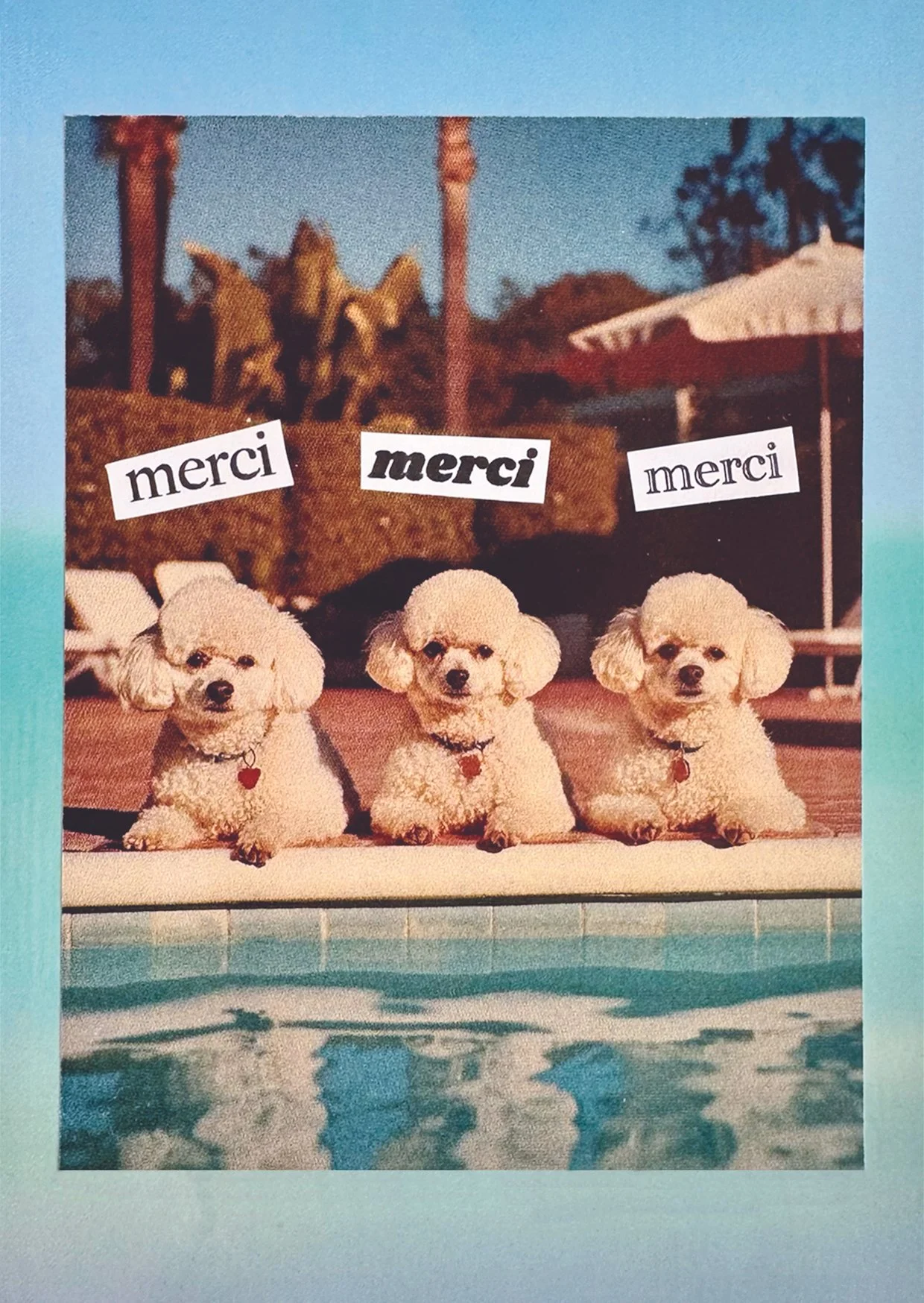 SIXTIES DOGS A6 CMJN.jpg