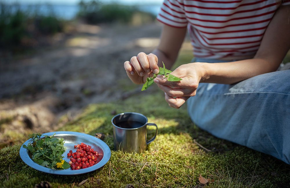 Warum Kräuterwanderungen unsere Gesundheit und unser Wohlbefinden fördern