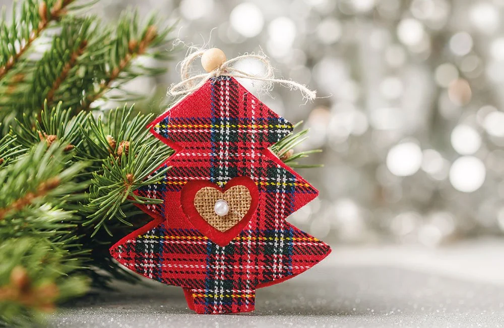 Nachhaltig und kreativ: So verwertest du deinen Tannenbaum nach Weihnachten