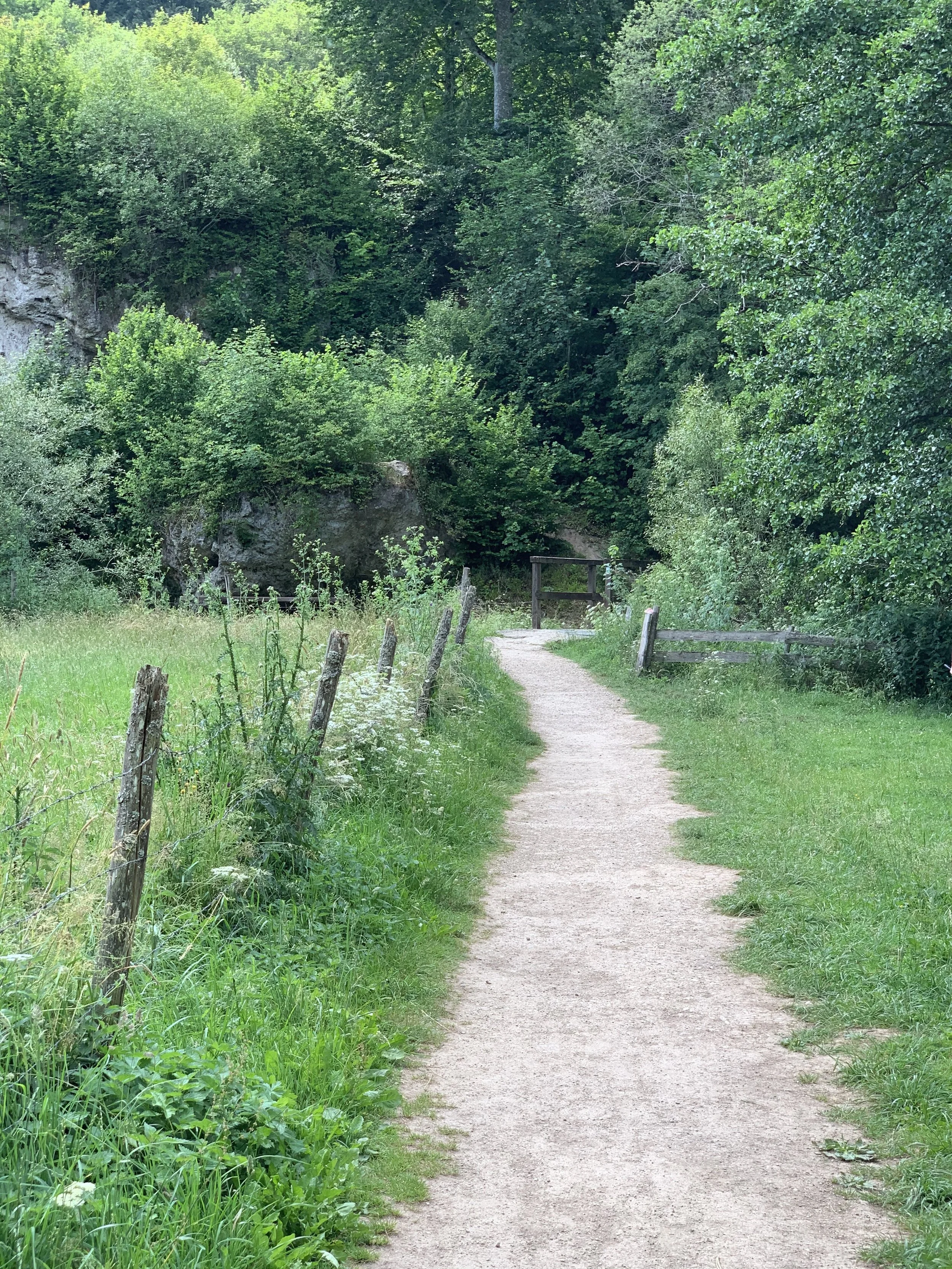 Kräuterwanderungen in der Eifel