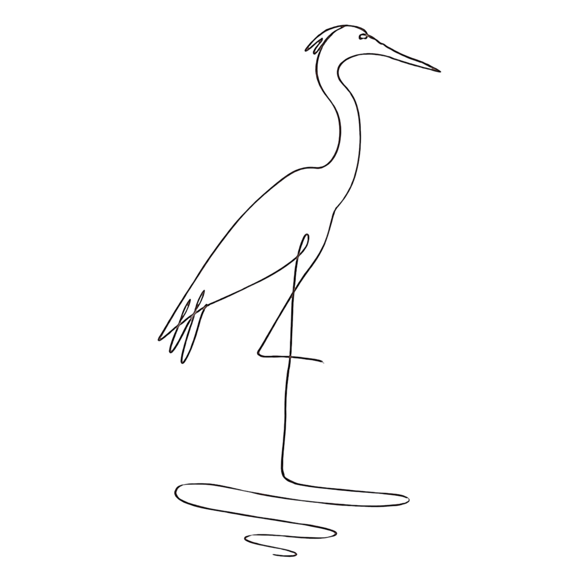 Outline of a heron standing on one leg, drawn with thin, glowing lines on a black background.