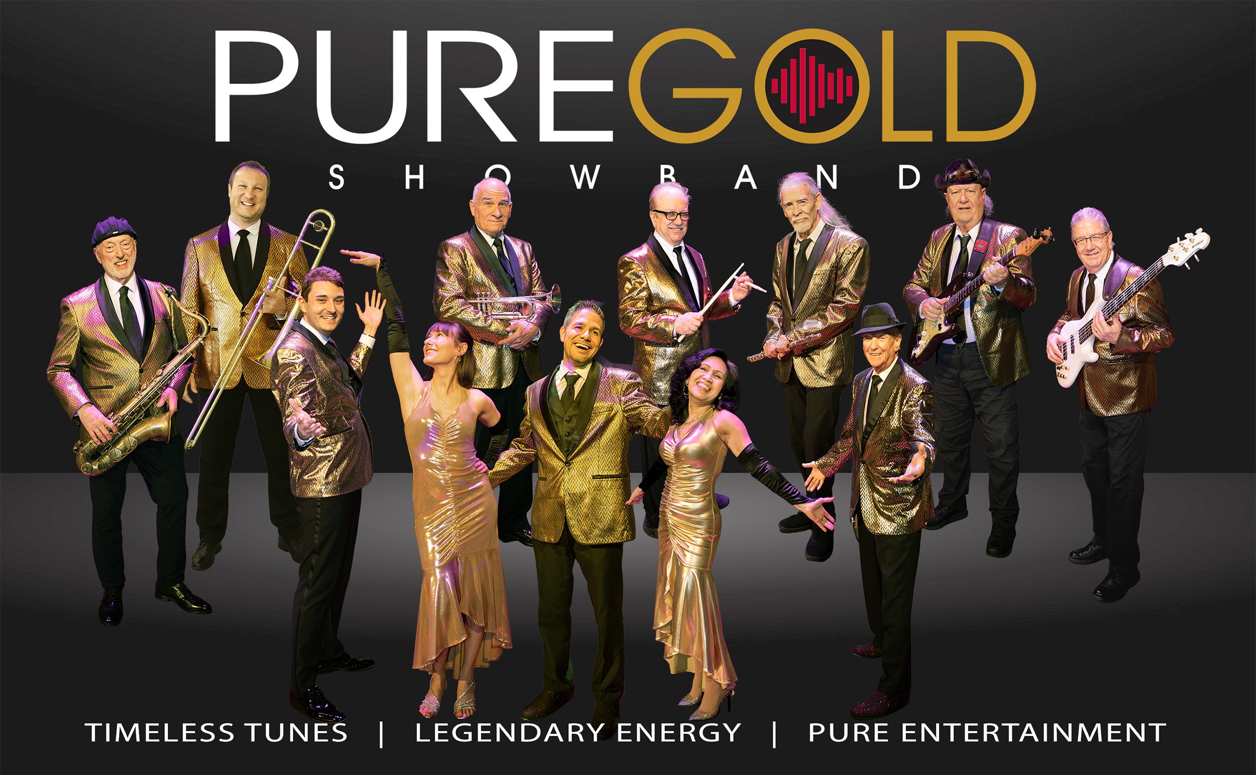 Pure Gold Showband Promo Image-2