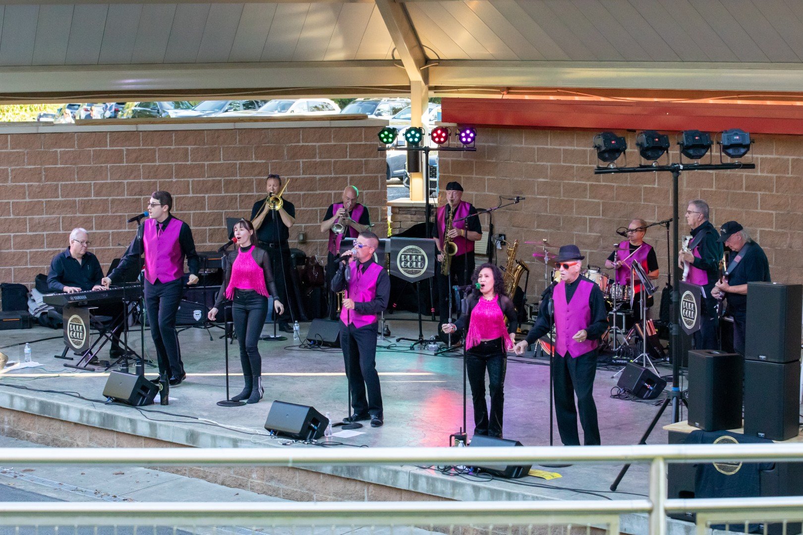Pure Gold live at Peters Township Summer Concert Series 9-10-2025 - Image 2
