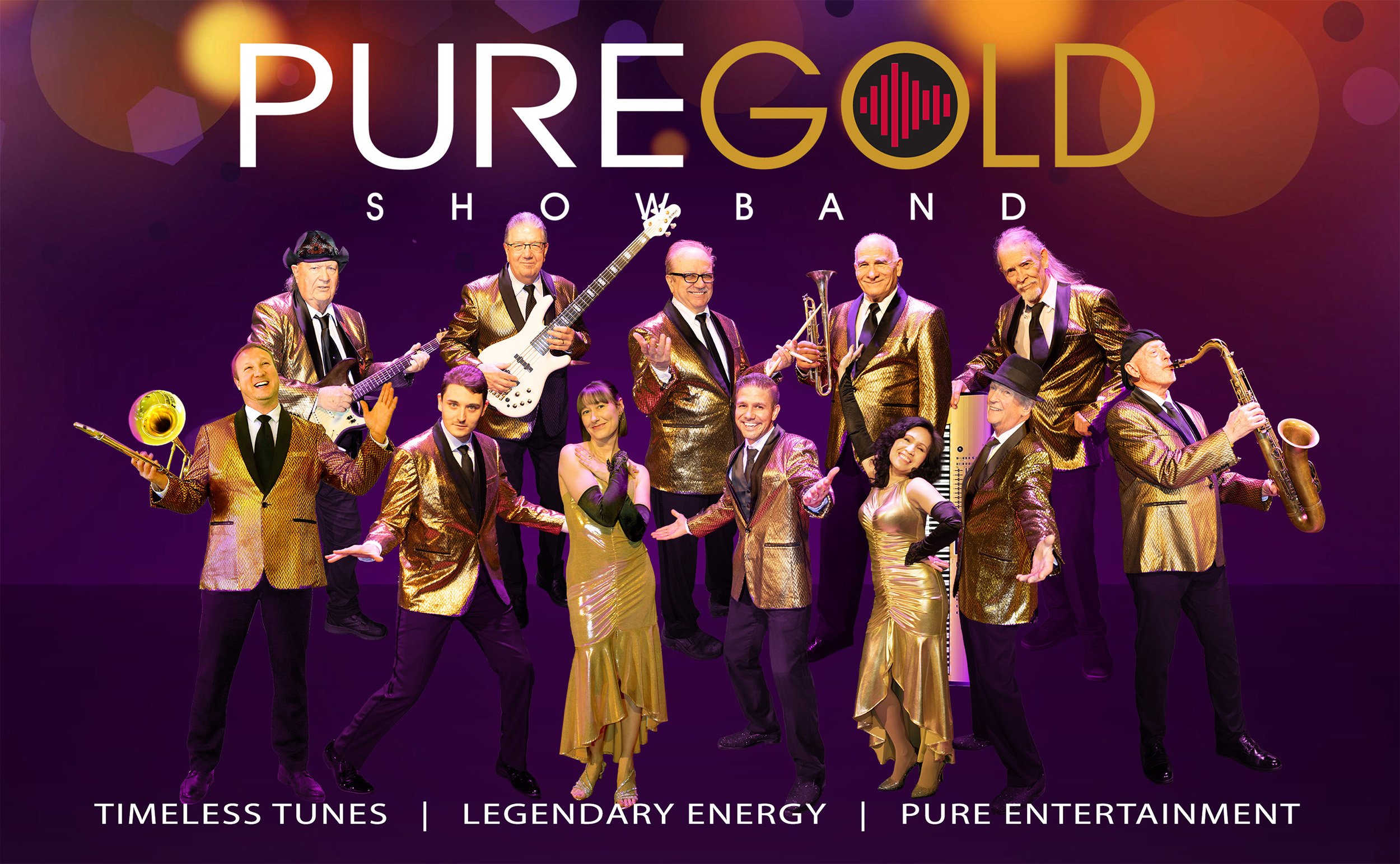 Pure Gold Showband Promo Image - 1