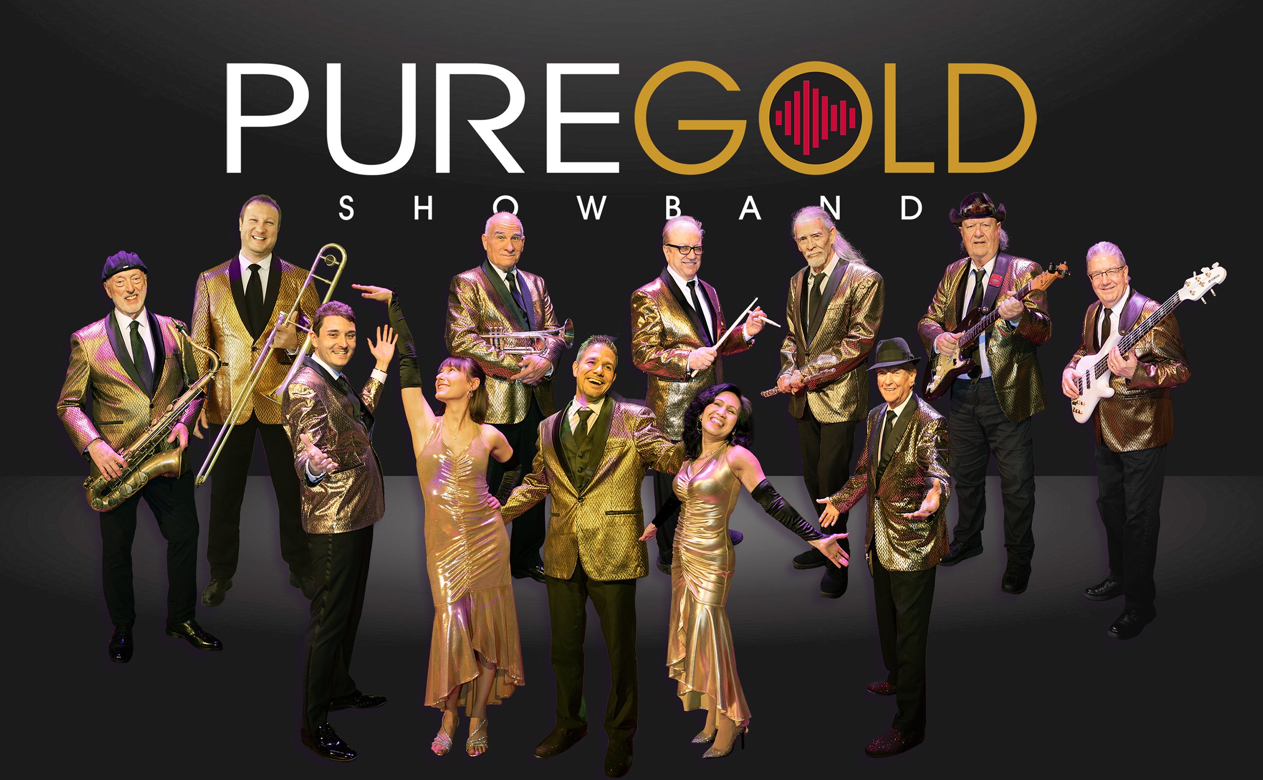 Pure Gold Showband - Pittsburgh based band
