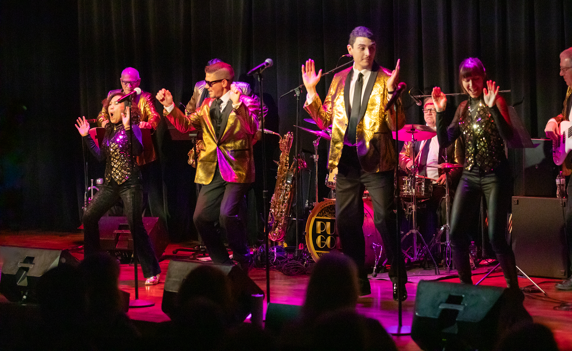 Pure Gold live at the Legacy Theatre in Allison Park PA March 15 2025 - Image 5