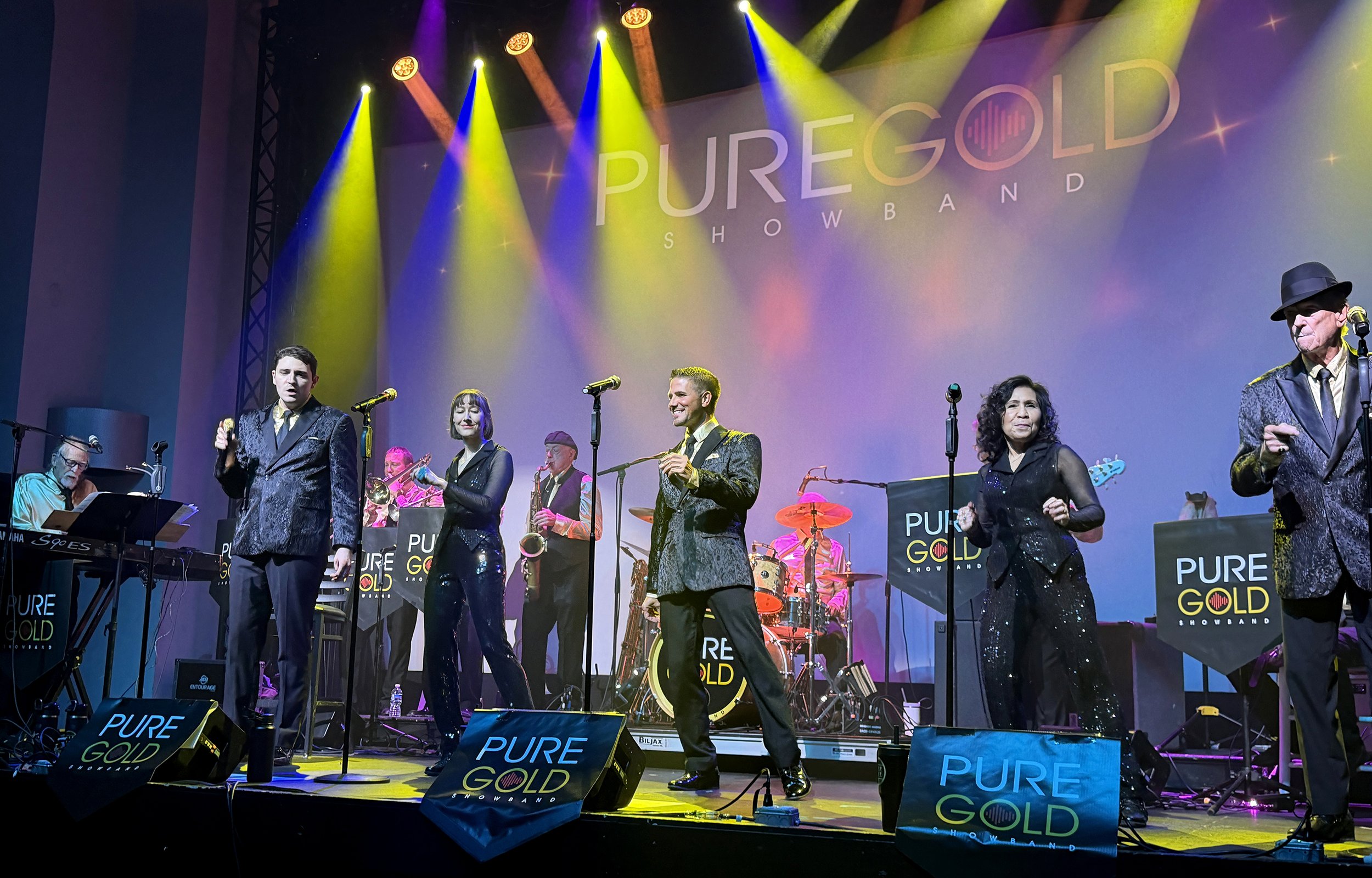 Pure Gold Showband Live Performance Image
