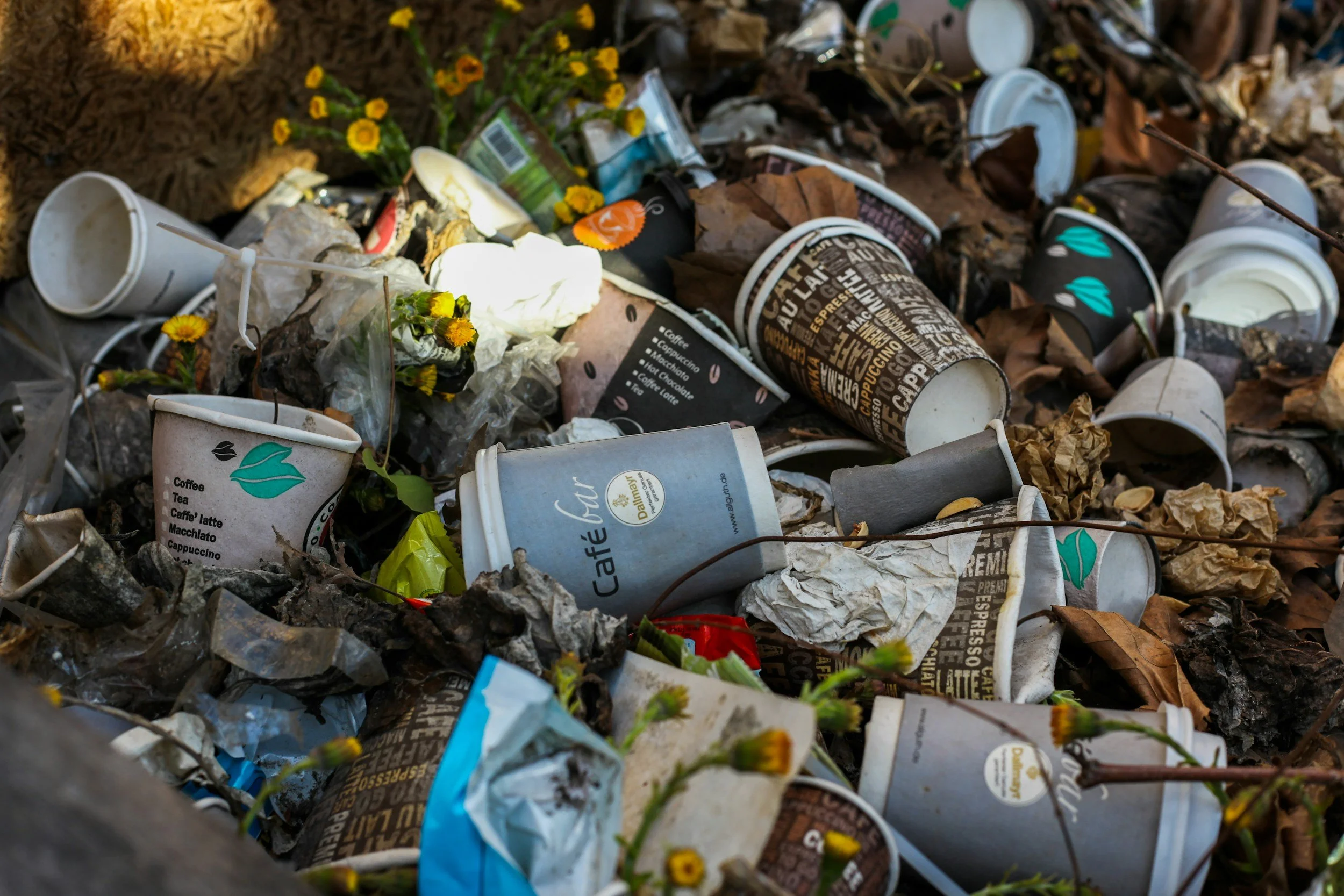 A pile of discarded coffee cups, paper trash, and leaves on the ground in an outdoor setting.