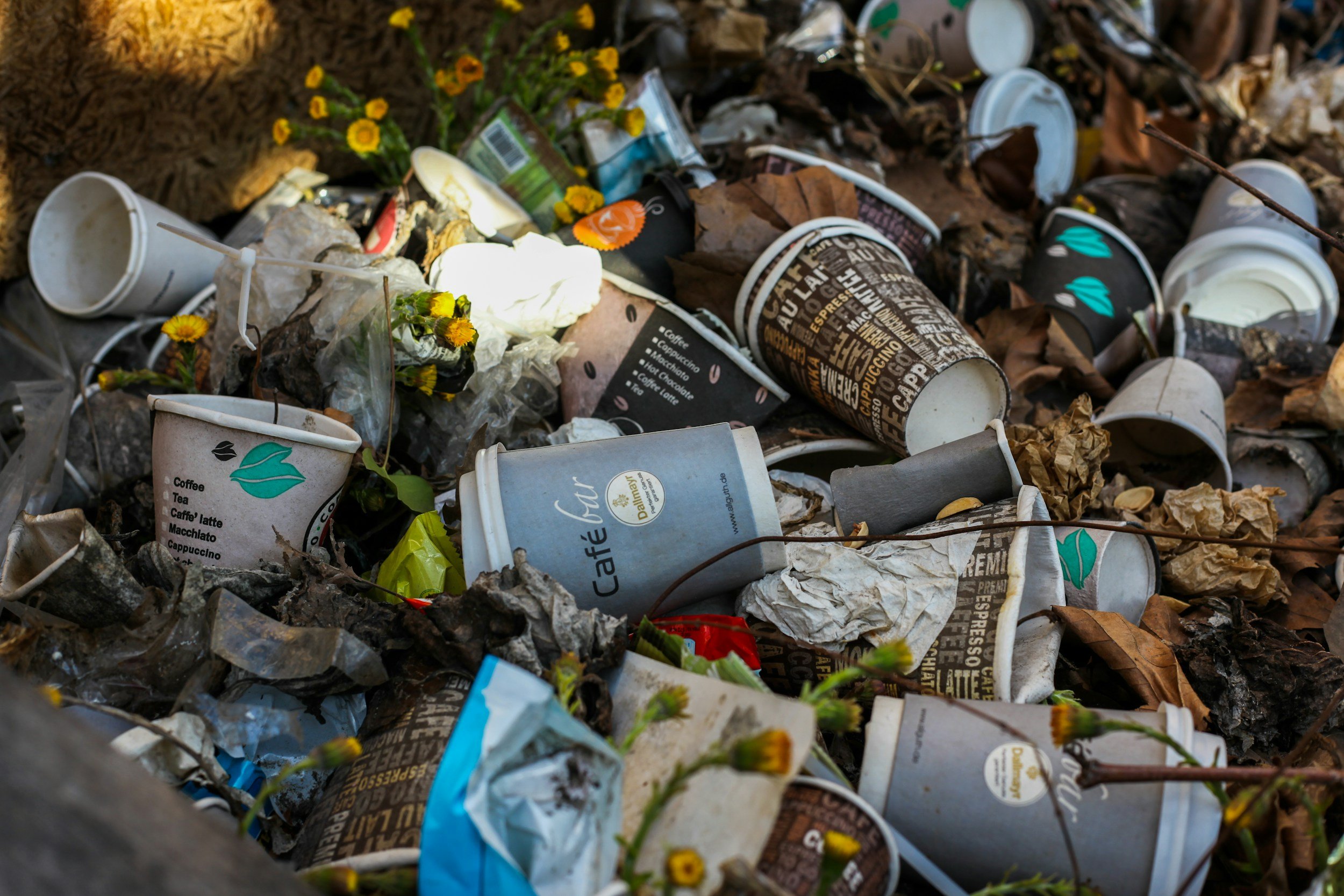 A pile of scattered used coffee cups, paper wrappings, and trash among dried leaves and small yellow flowers in an outdoor setting.