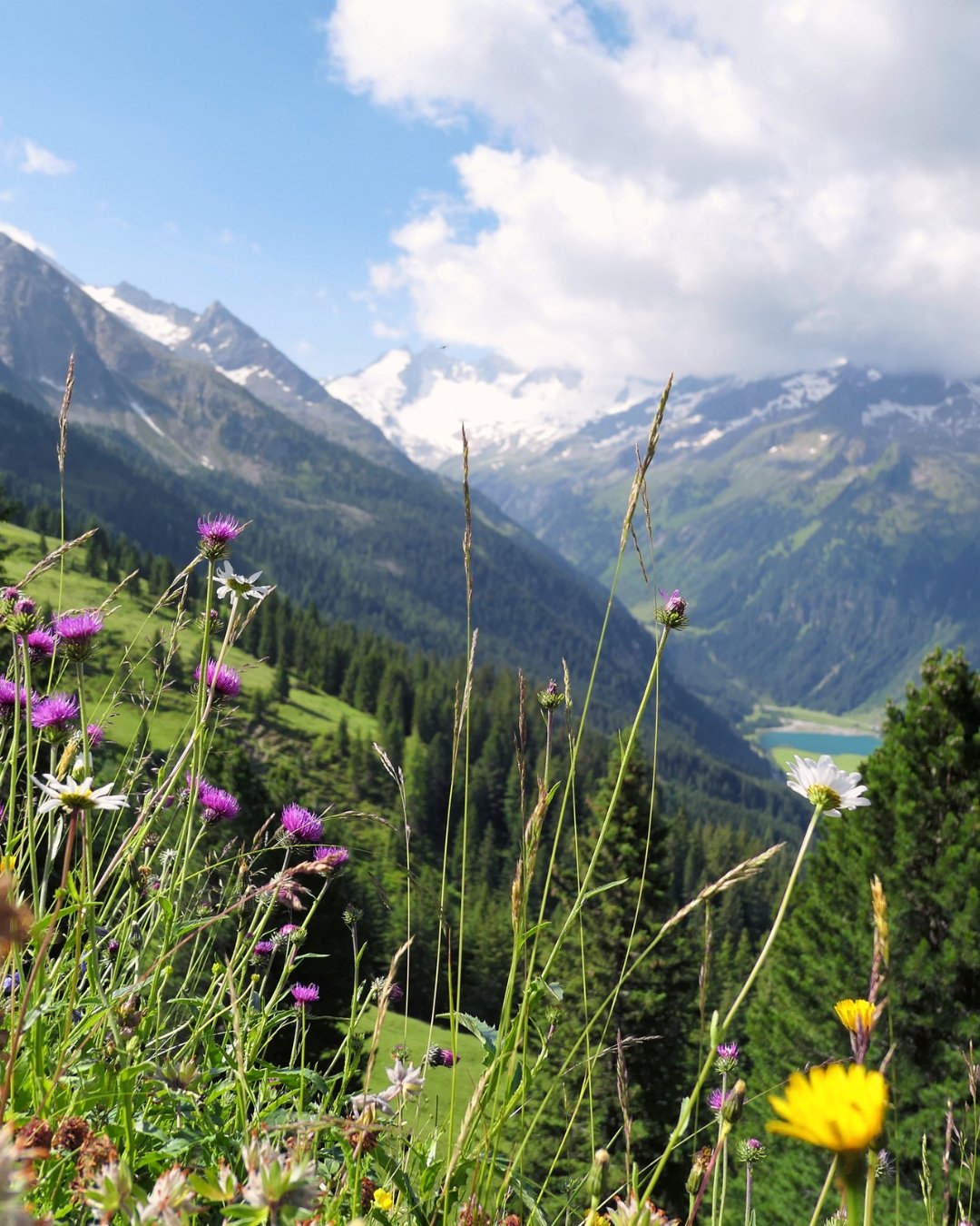 Bjerglandskab i Østrig med udsigt og frisk luft