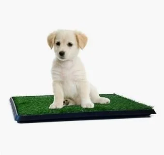 Downtown Pet Supply Pee Turf Portable Dog Potty Trainer, Green, 25-in