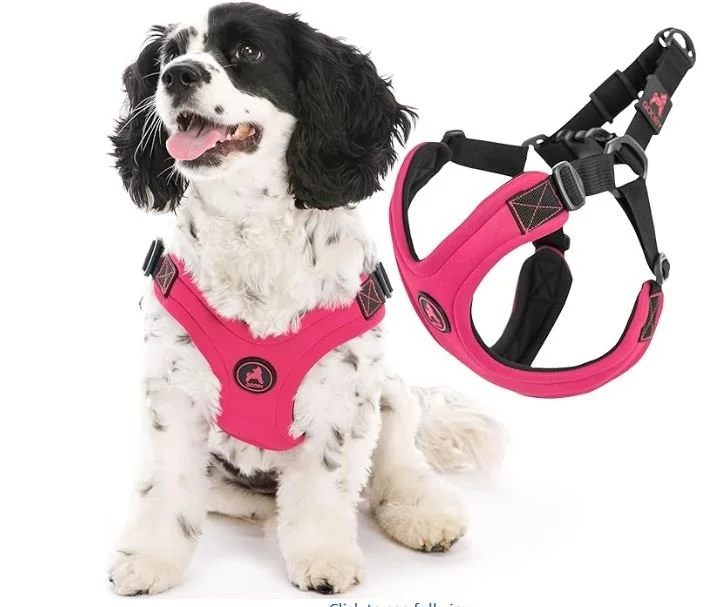Gooby Escape Free Sport Harness - Pink, Medium - No Choke Step-in Patented Neoprene Small Dog Harness with Four-Point Adjustment - Perfect on The Go Dog Harness for Medium Dogs No Pull