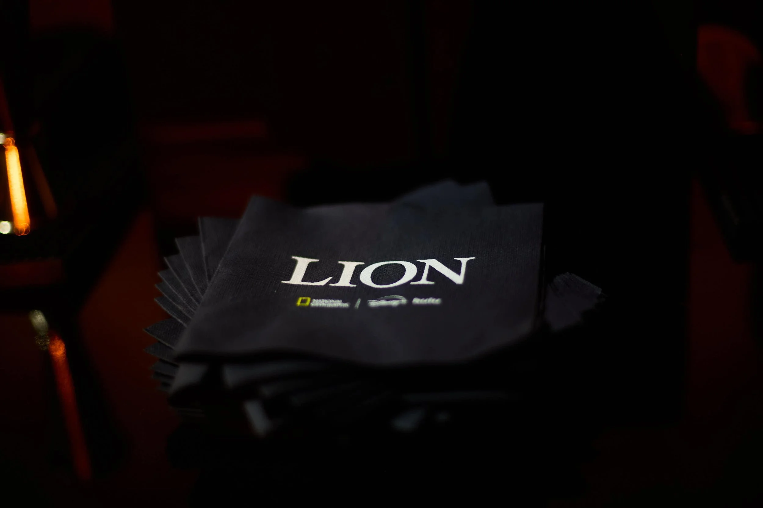 LC_LUCA MASTRO_LION 73.jpg