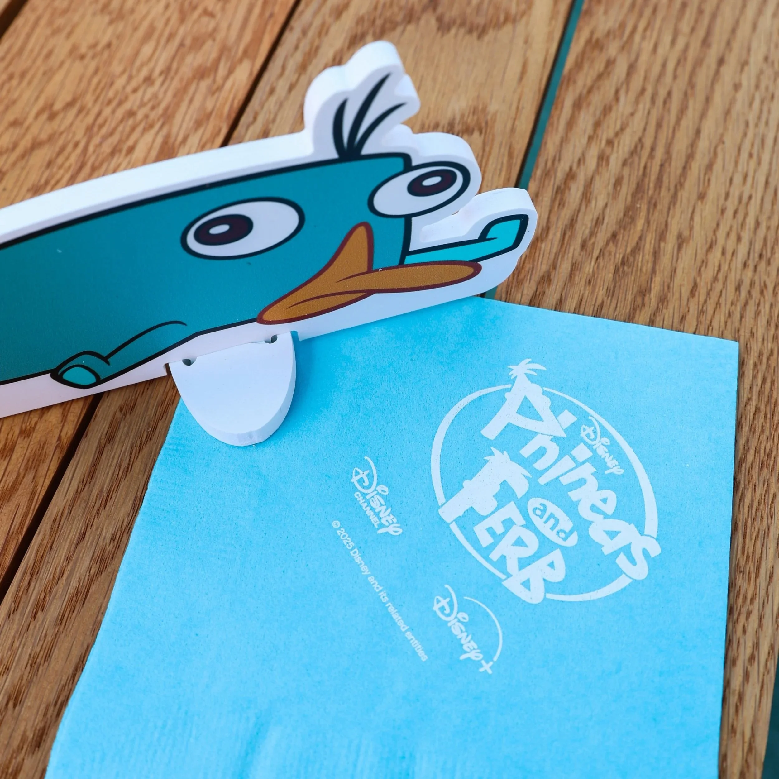 LC_PhineasFerb053125-43.jpg