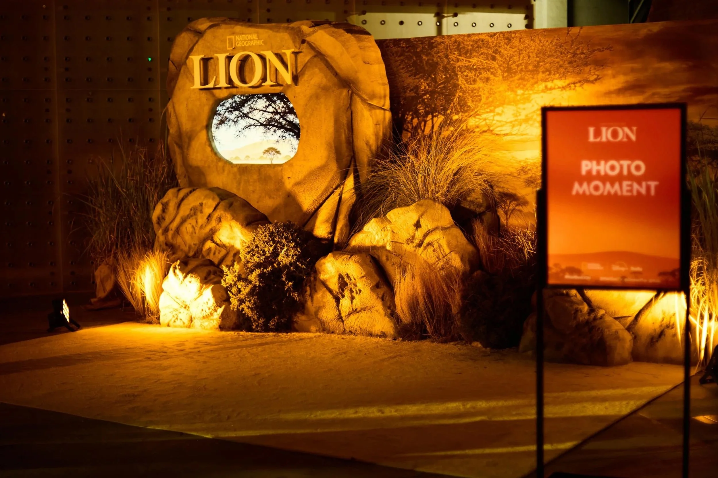 LC_LUCA+MASTRO_LION+76.jpg