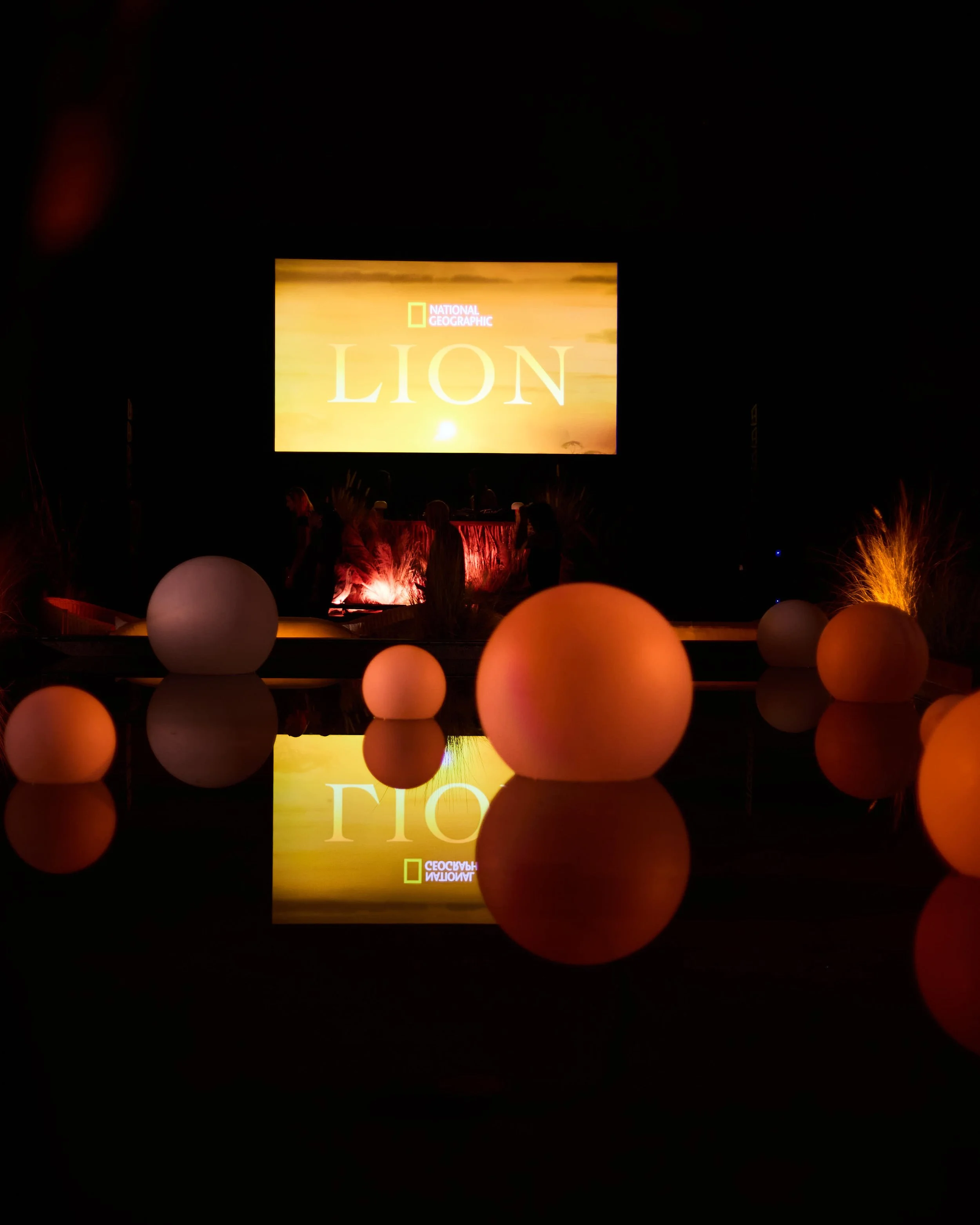 LC_LUCA MASTRO_LION 81.jpg