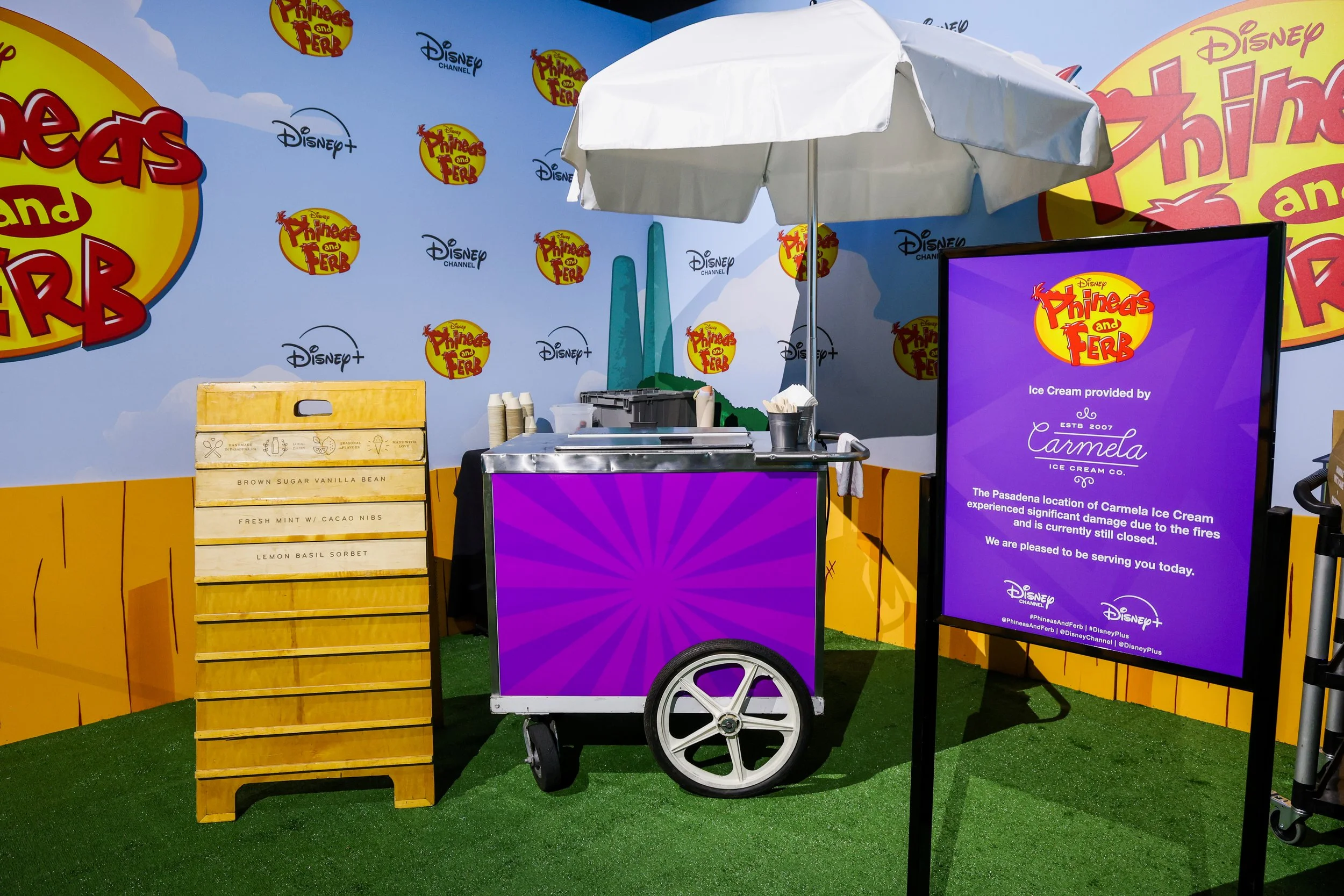 LC_PhineasFerb053125-157.jpg