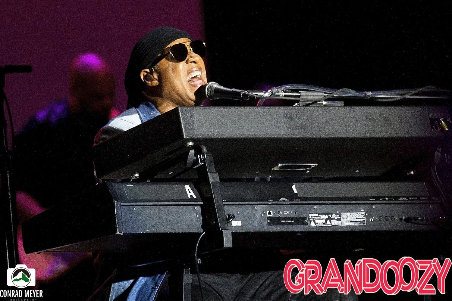Stevie Wonder.jpeg