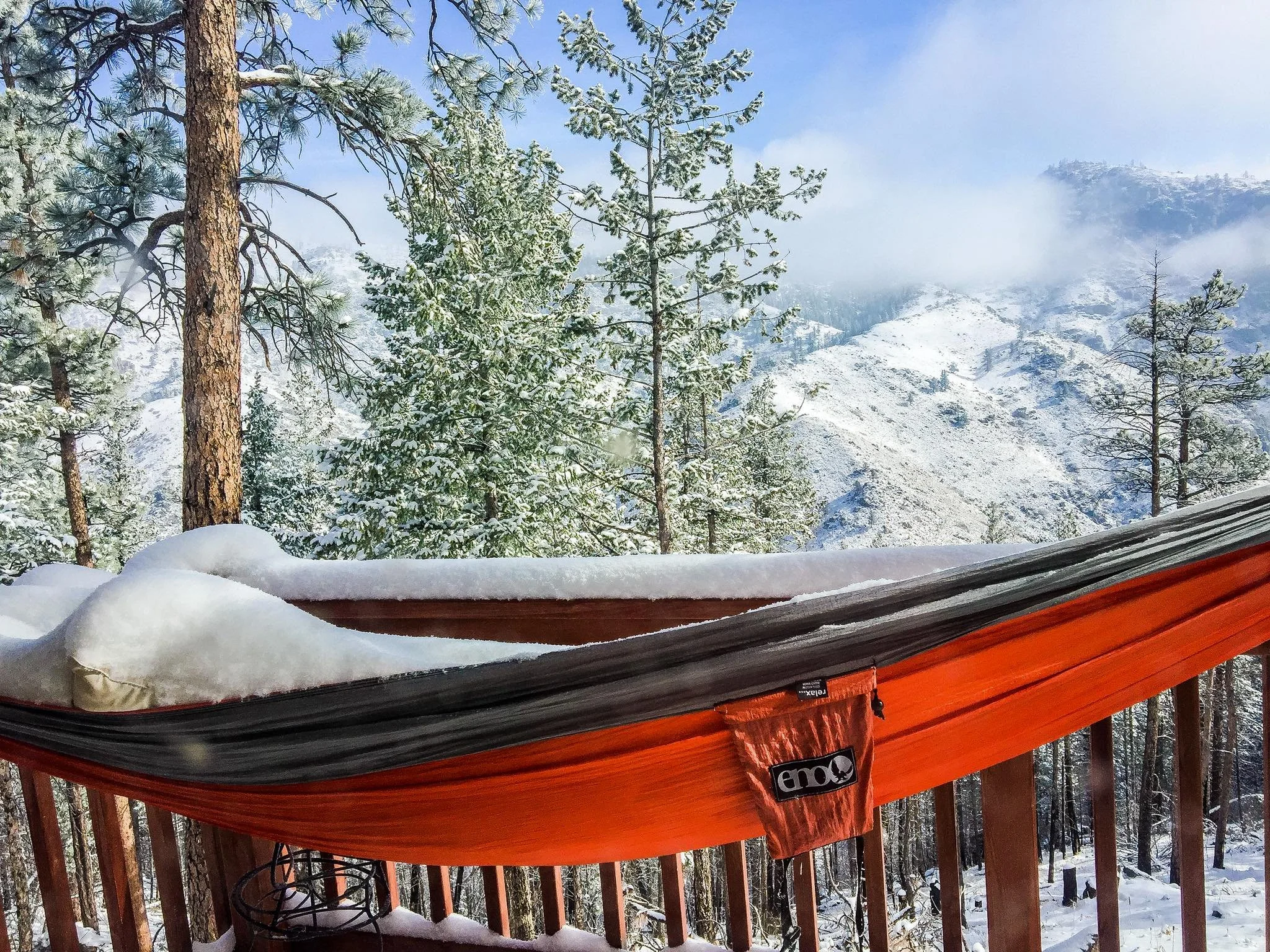 hammock.jpeg