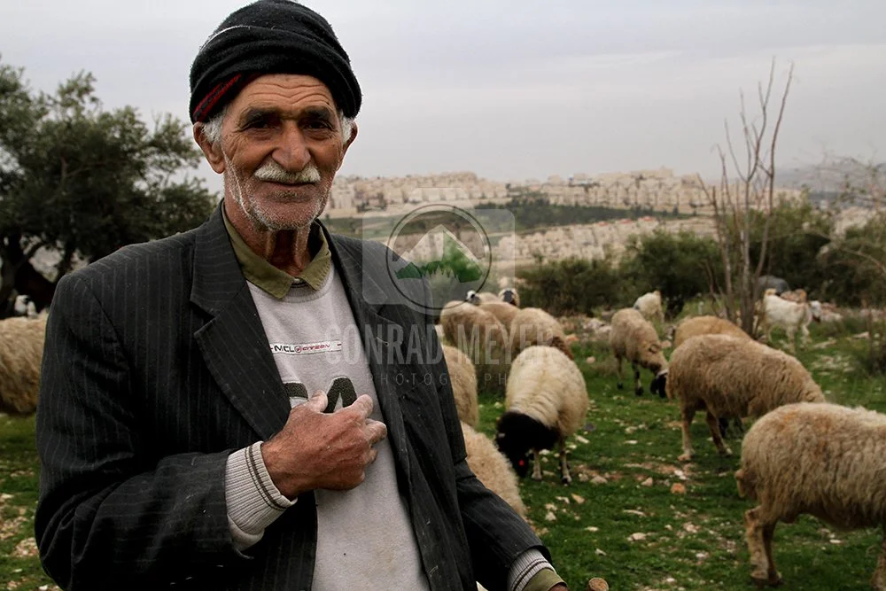 israel_shephardNEWWWW.jpg