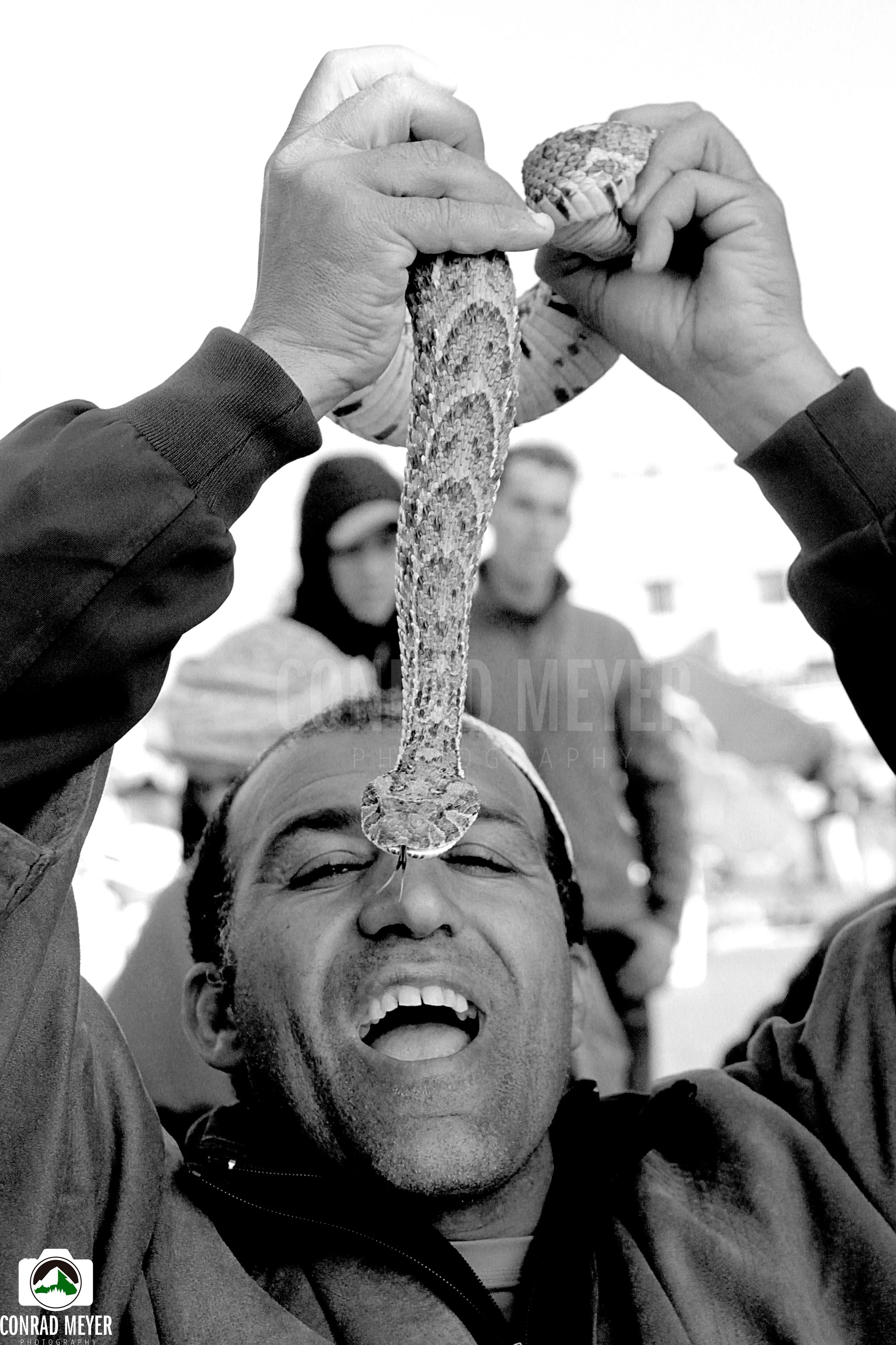 snakeCHARMER.jpg